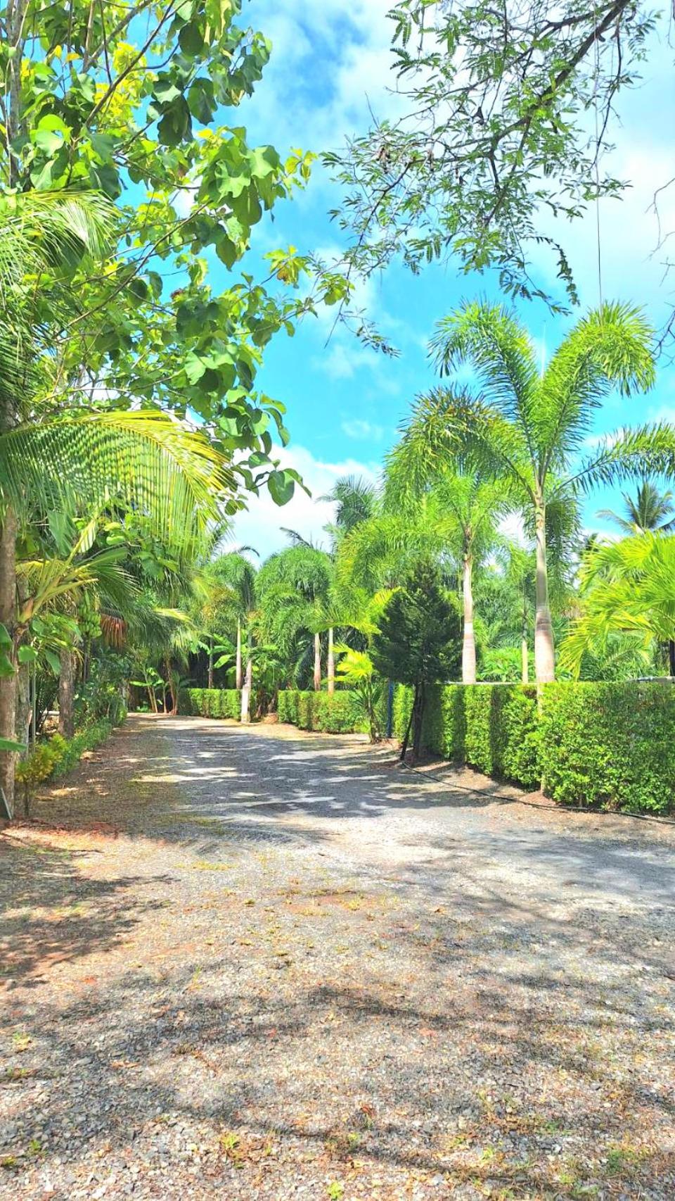 Villa photo 3