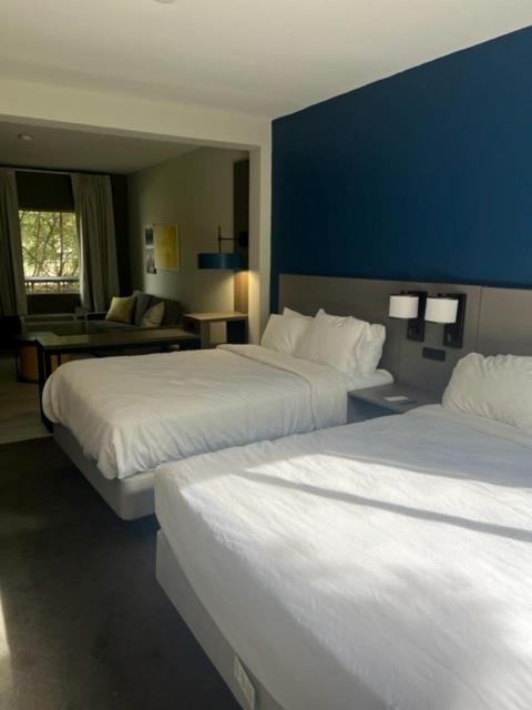 One Room Suite with Courtyard View - Non Smoking photo 3