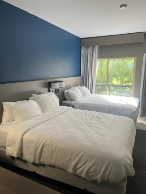 One Room Suite with Courtyard View - Non Smoking photo 2