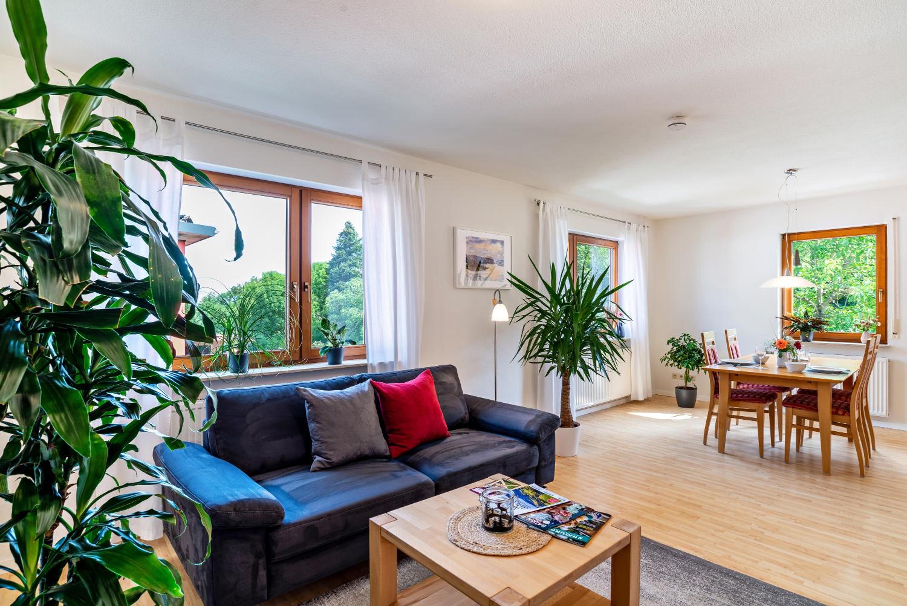 Superior One-Bedroom Apartment with Balcony photo 1