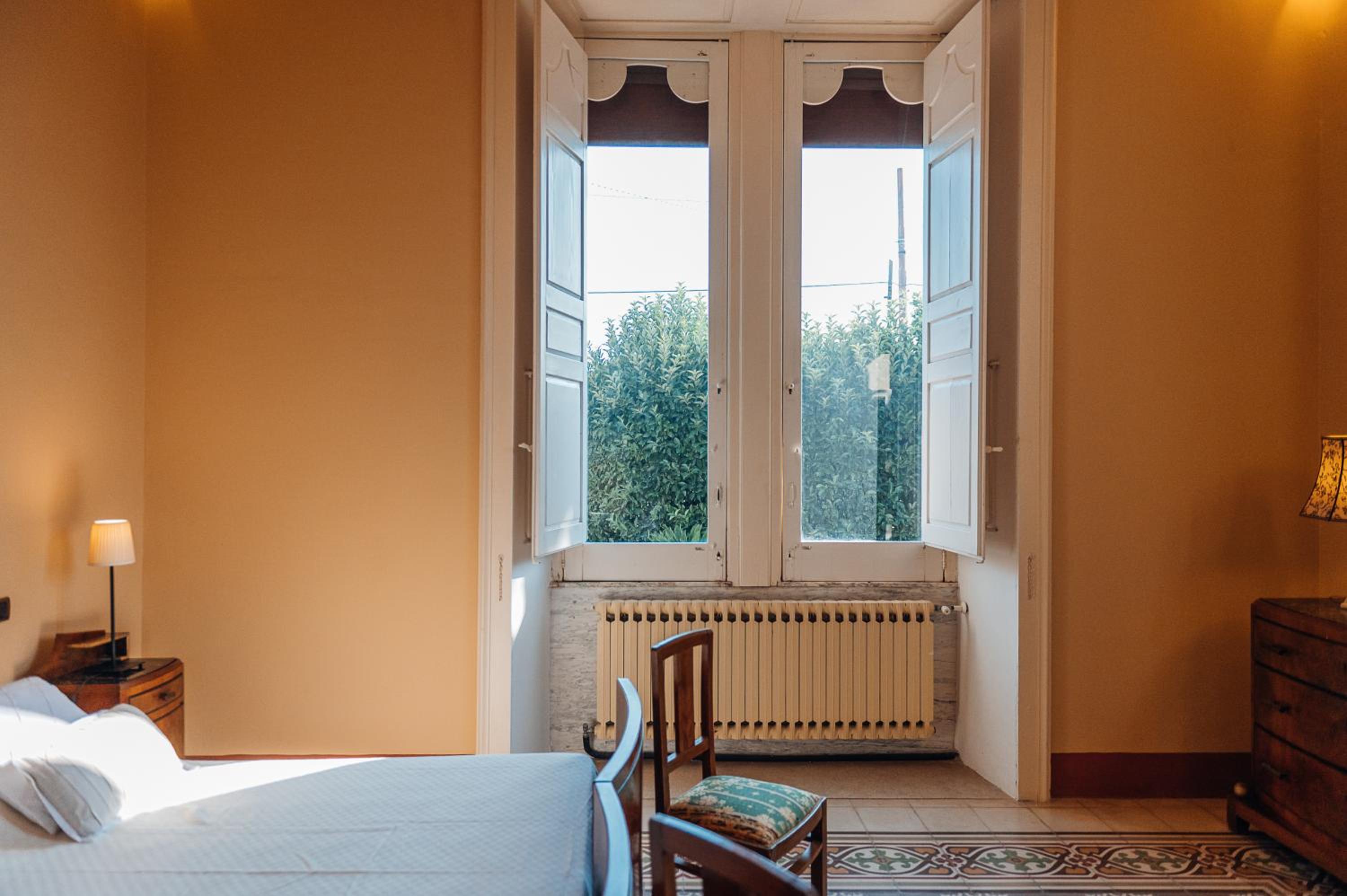 King Room photo 1