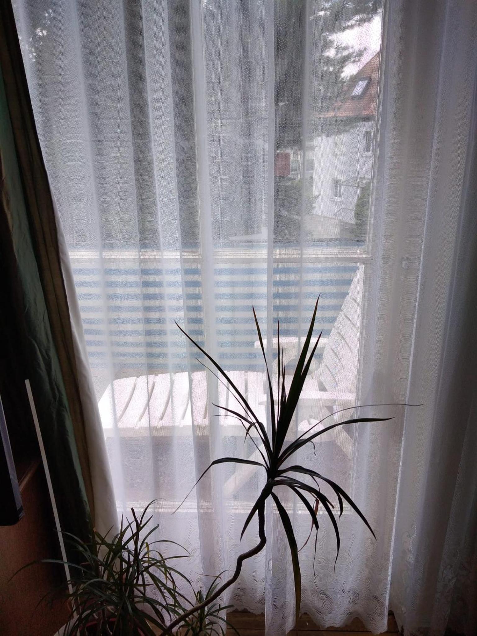 Double Room with Balcony photo 3