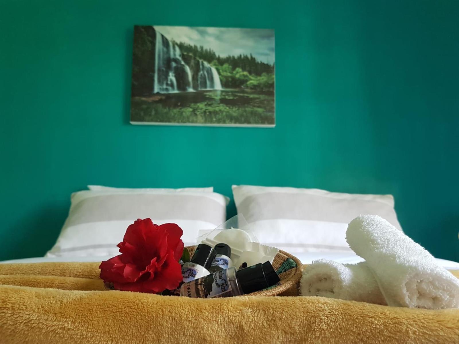Double or Twin Room photo 1
