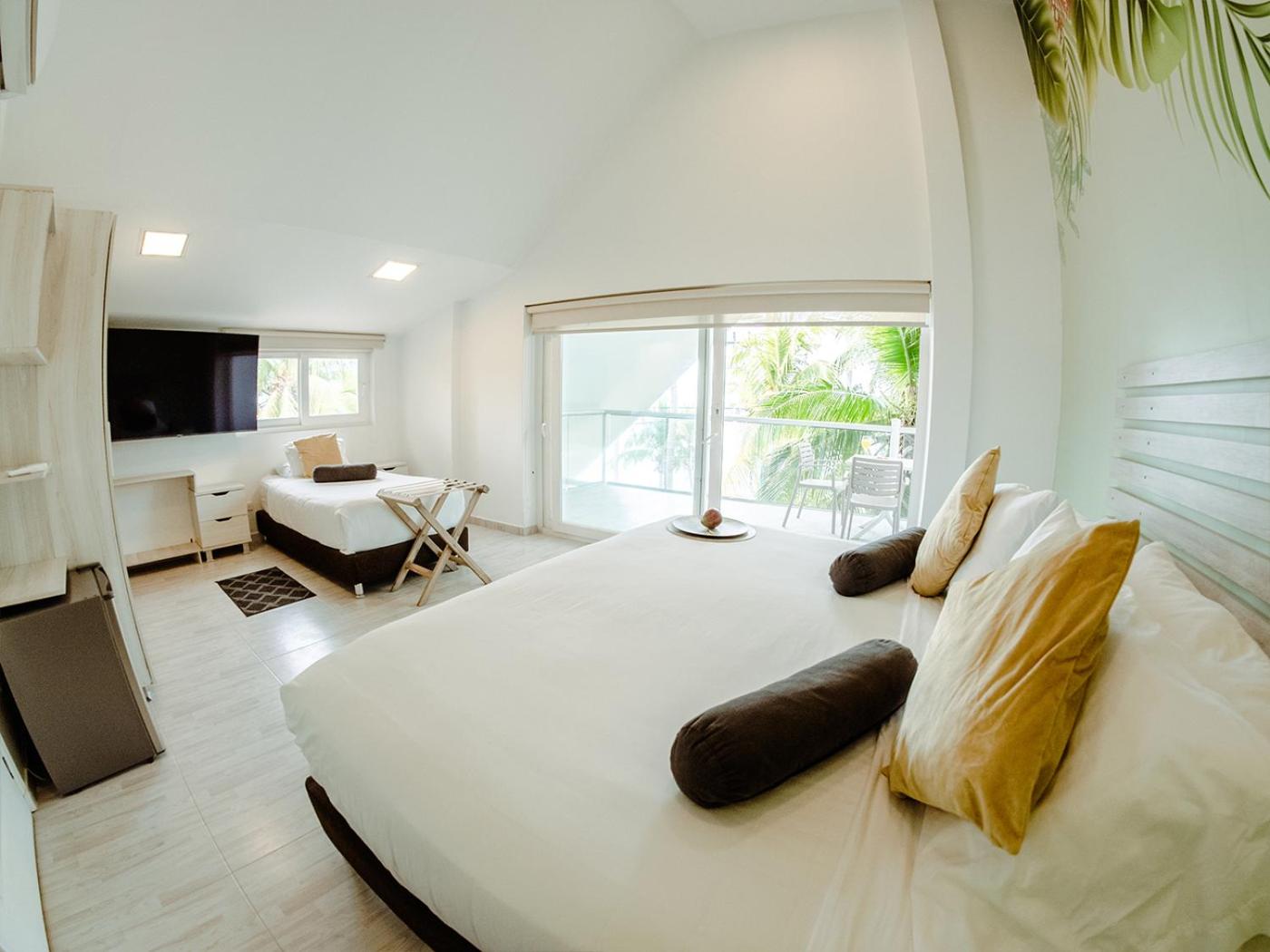 Suite photo 2