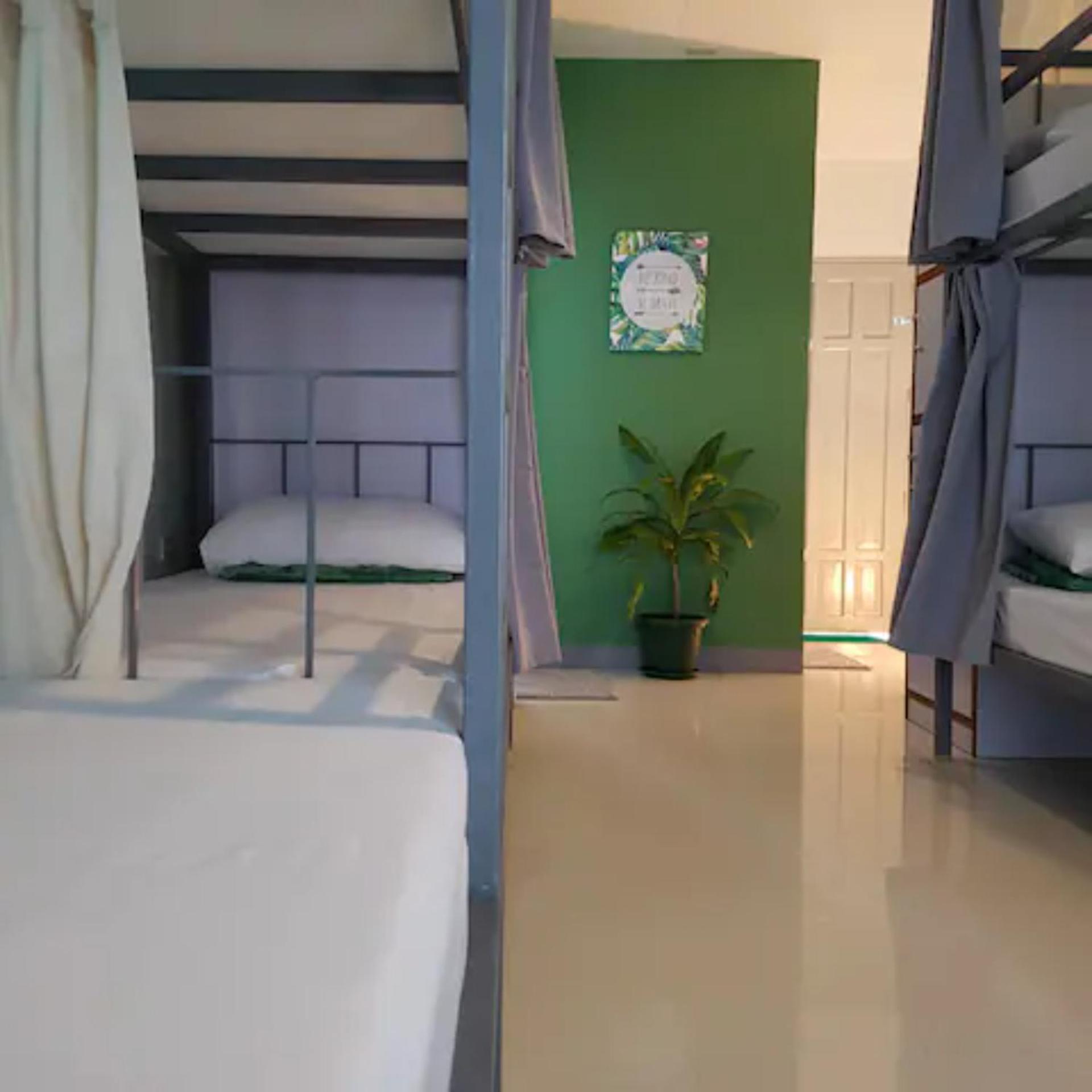 Bunk Bed in Mixed Dormitory Room photo 1