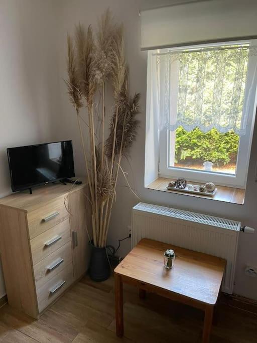 Apartment with Garden View photo 1