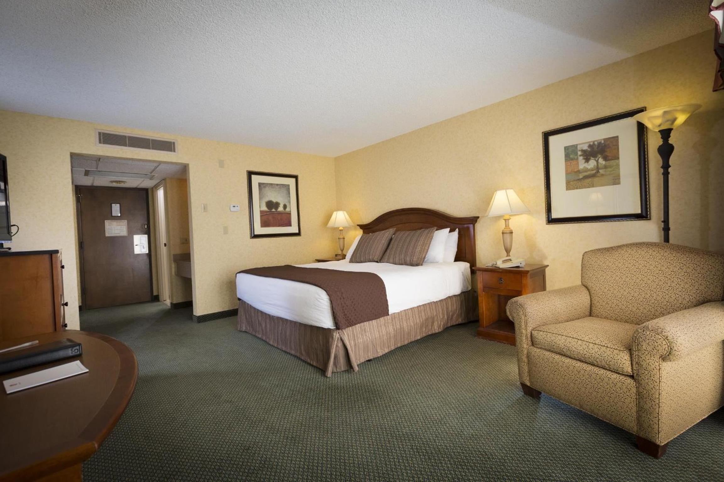 Premium King Room - Photo 3