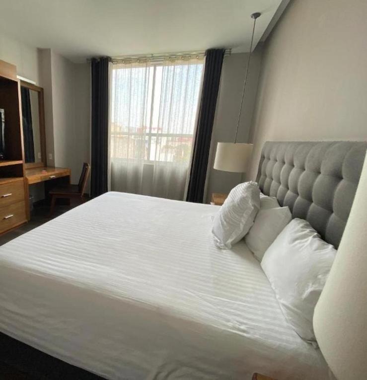 Superior Suite - Photo 11