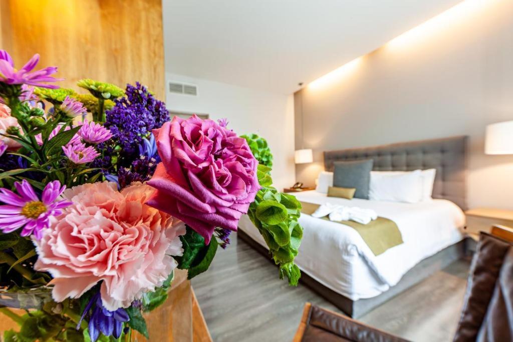 Superior Suite - Photo 1