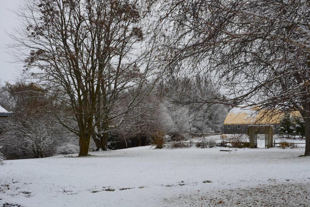 Villa photo 2