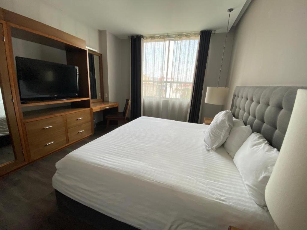 Standard Suite - Photo 21