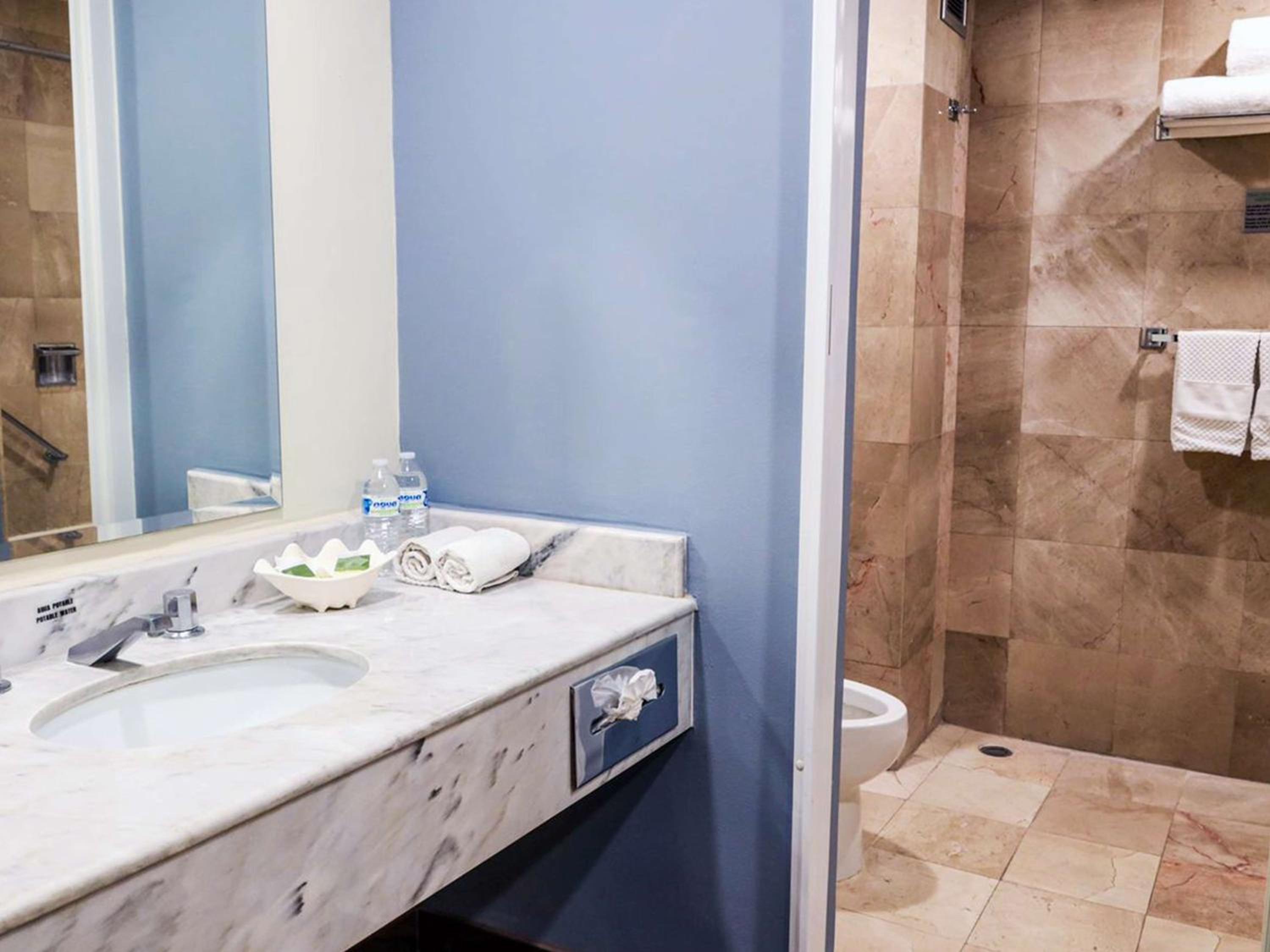 King Suite with Kitchenette - Non-Smoking - Photo 9