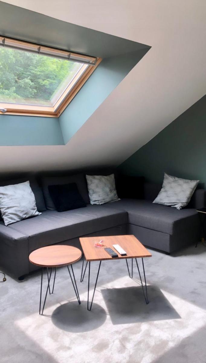 Family Room photo 3