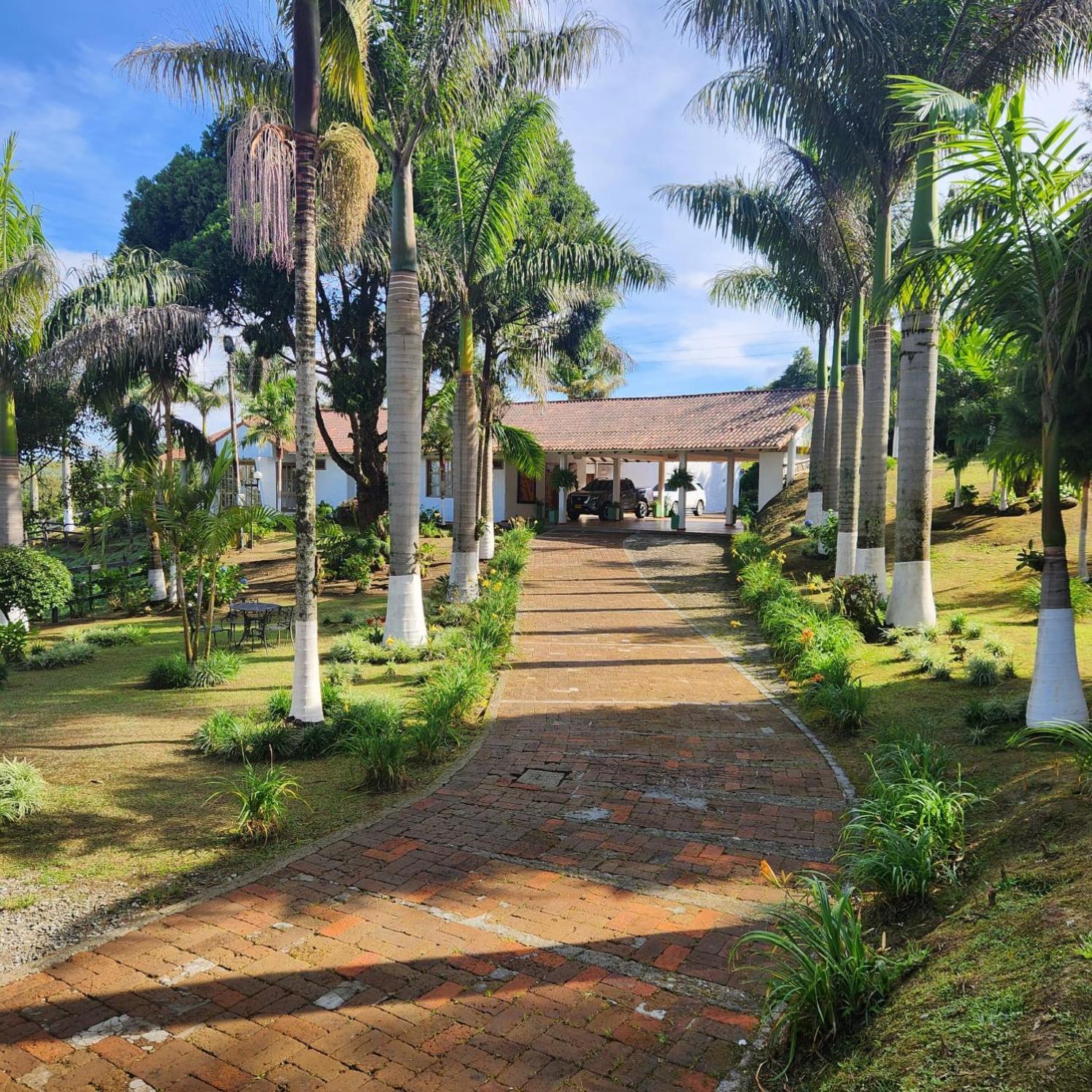 Villa photo 3