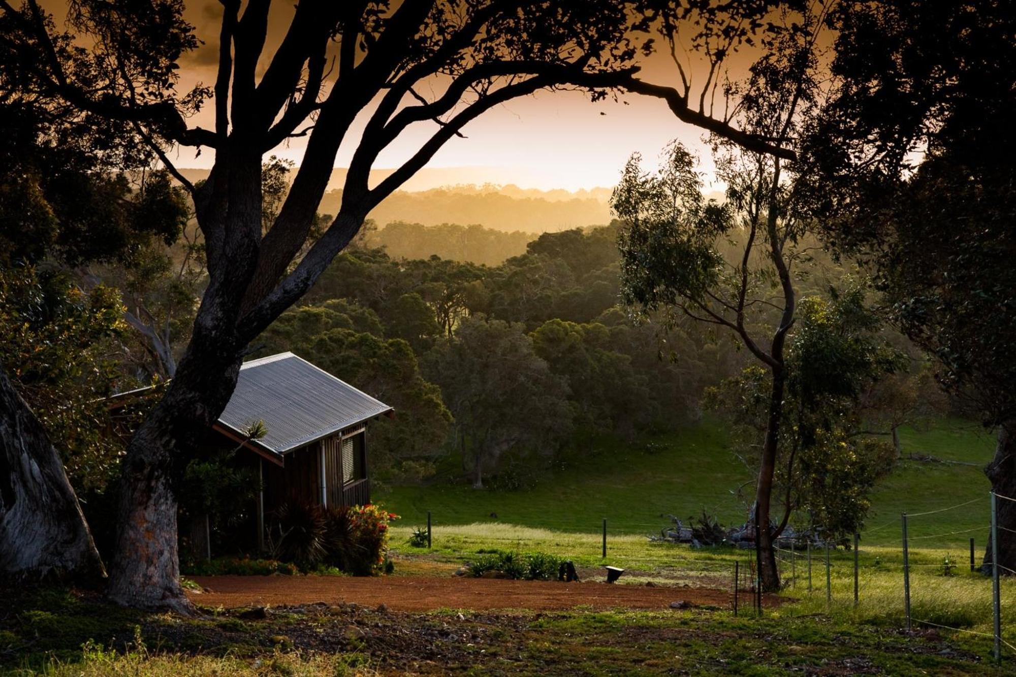 Honeybee Studio Cottage photo 3