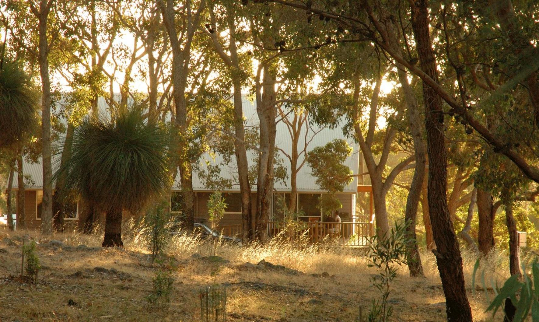 Dragonfly Cottage photo 2