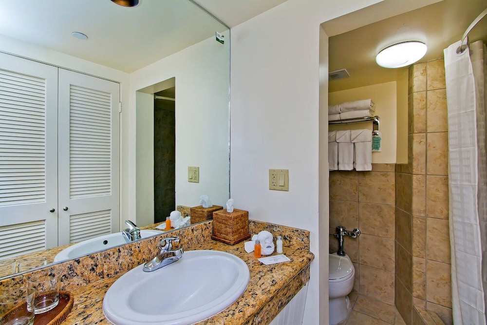 Executive Room, 1 King Bed, City View - Photo 5