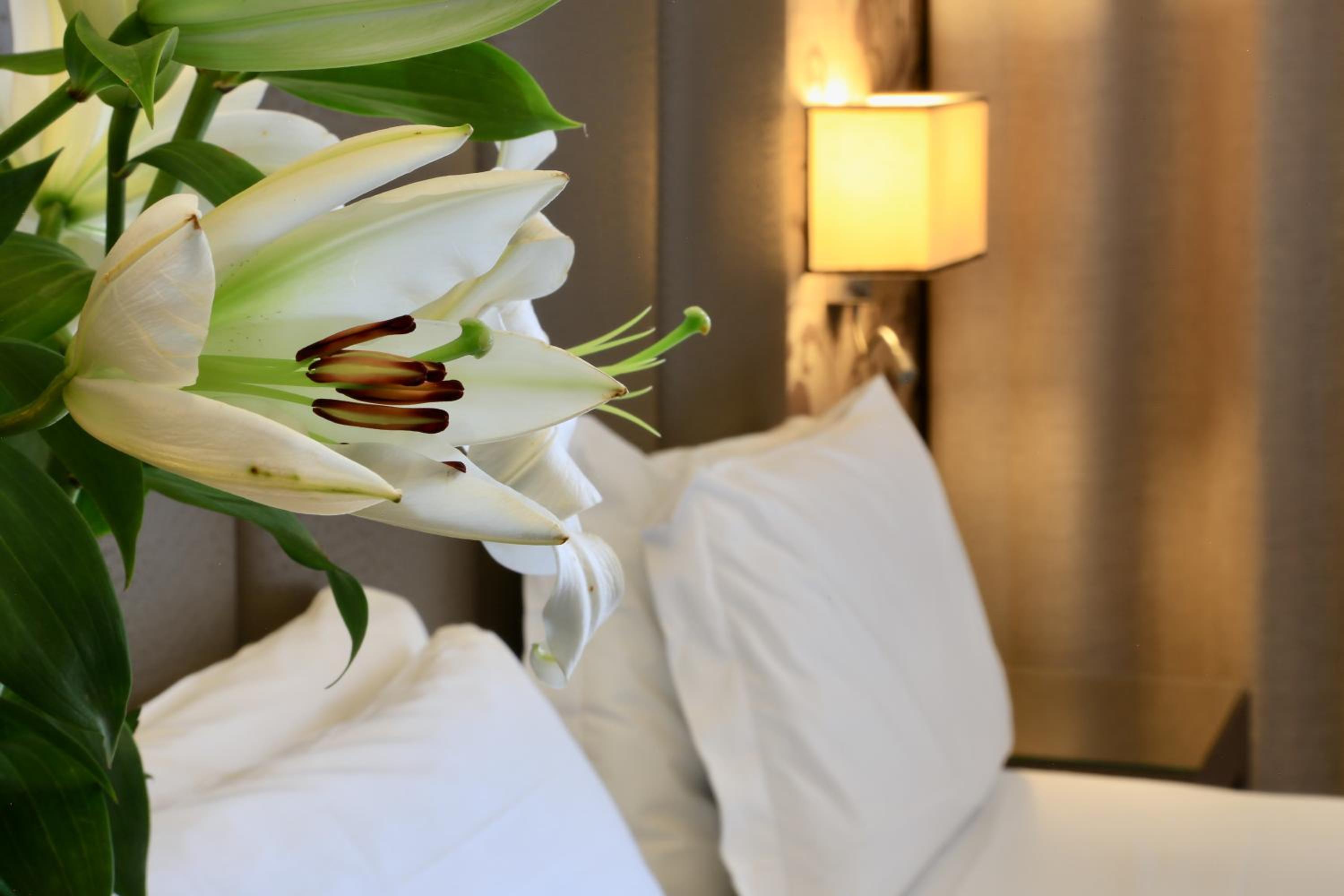 Double Room thumbnail 6