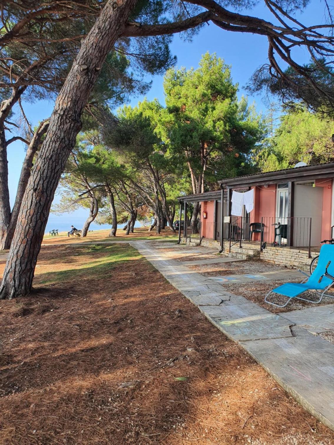 Bungalow - Water Front  - Photo 23