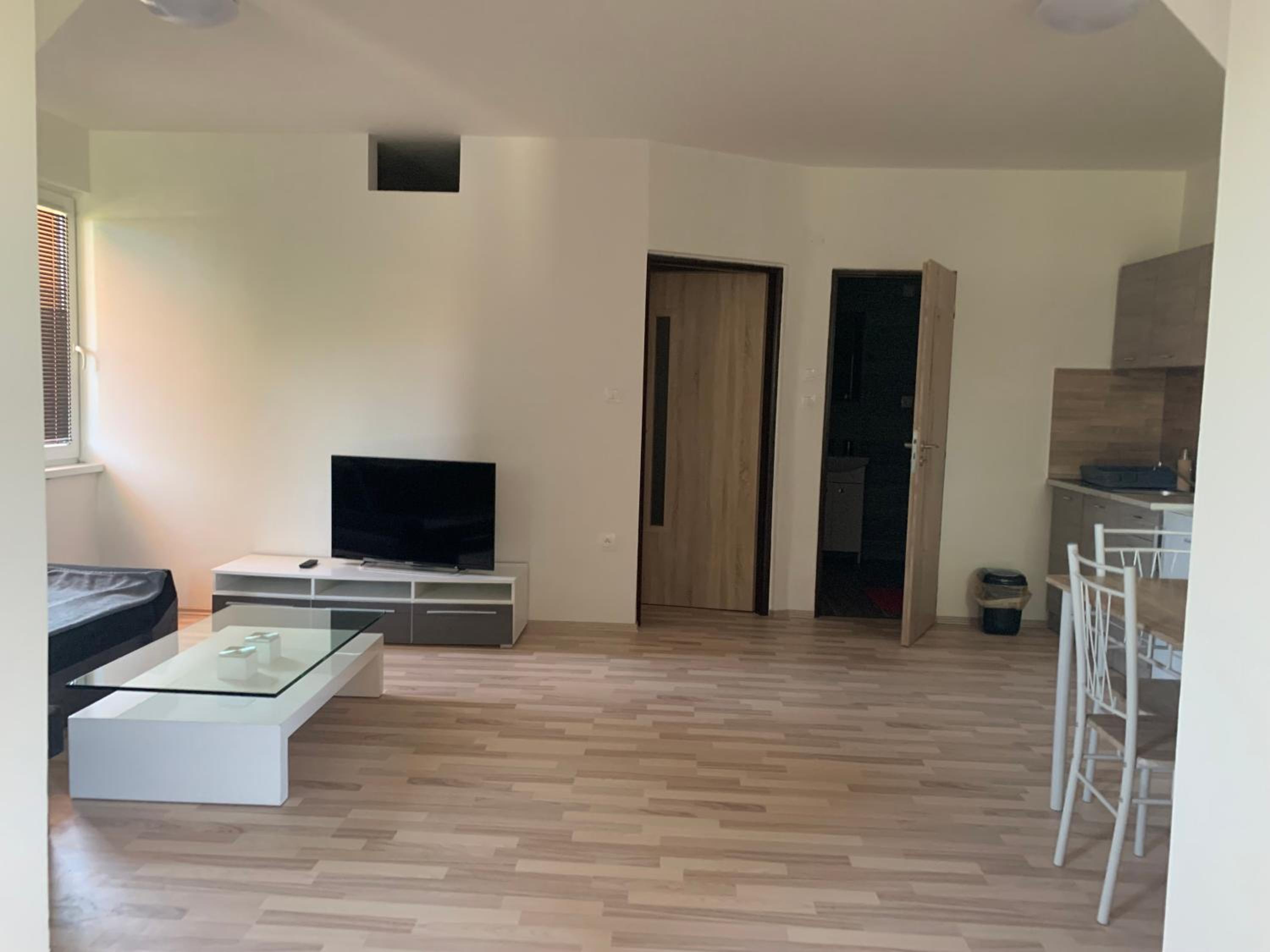 One-Bedroom Apartment photo 2