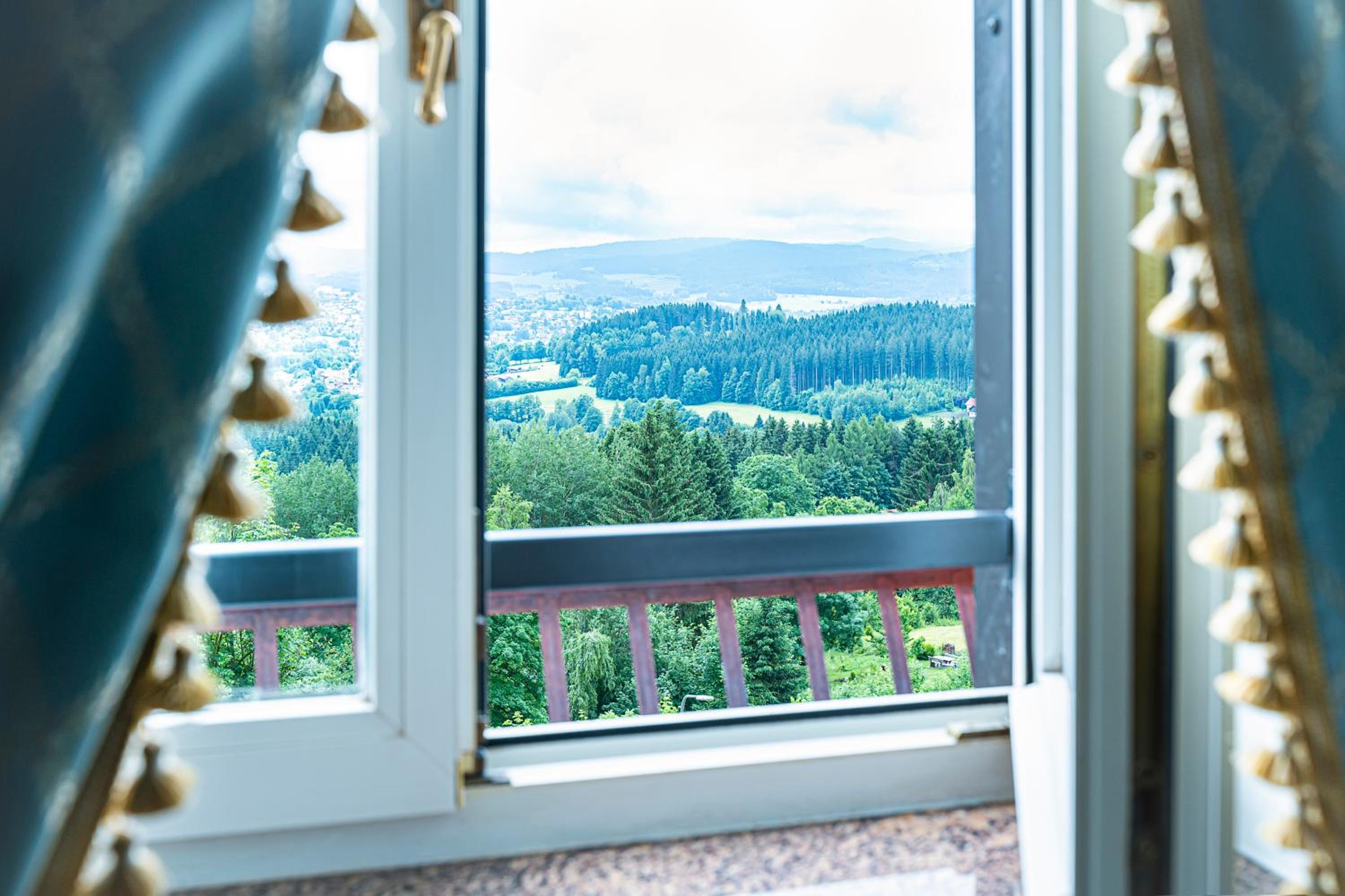 Suite - Photo 2