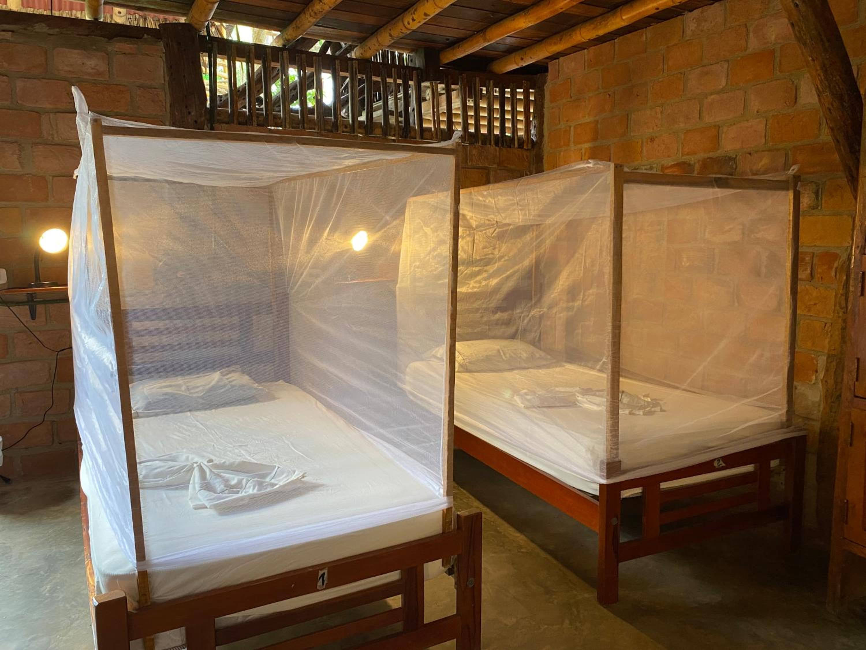 Single Bed in 6-Bed Dormitory Room photo 1
