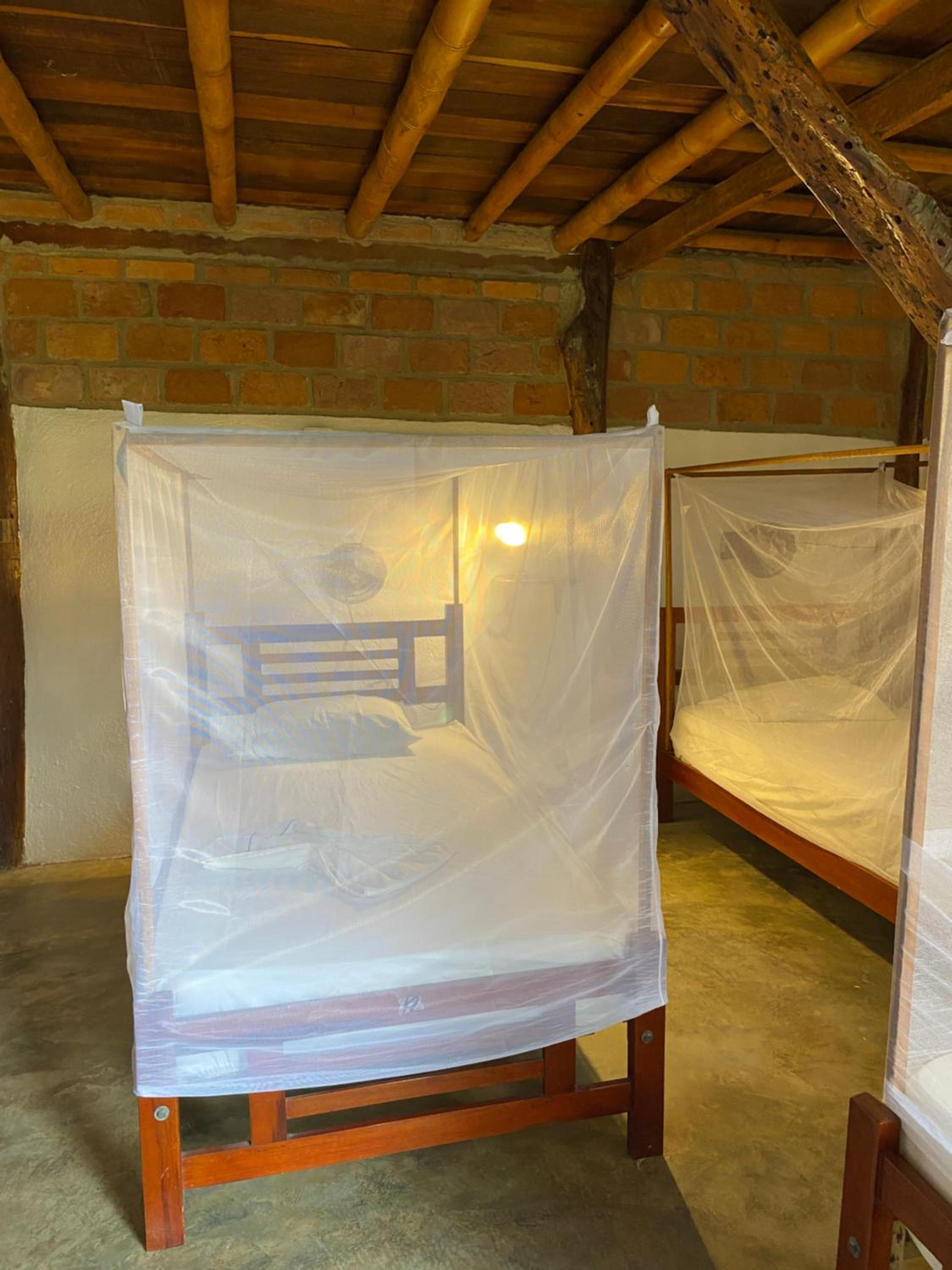 Single Bed in 6-Bed Dormitory Room photo 2