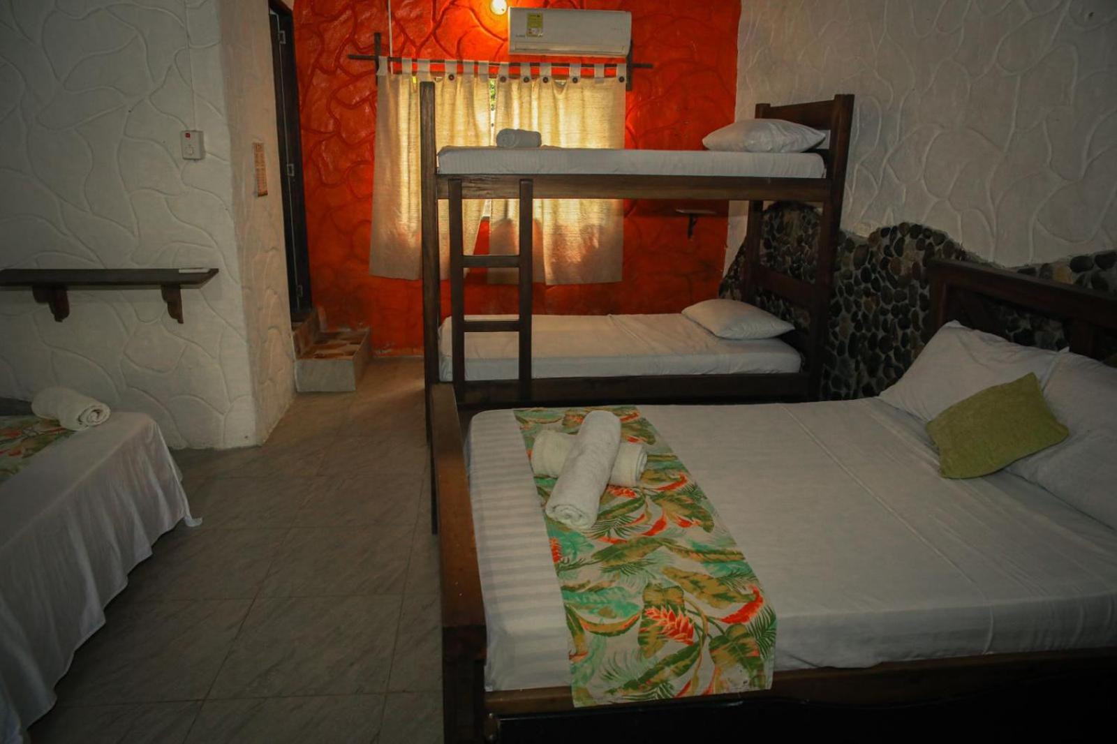 Single Bed in Mixed Dormitory Room photo 3