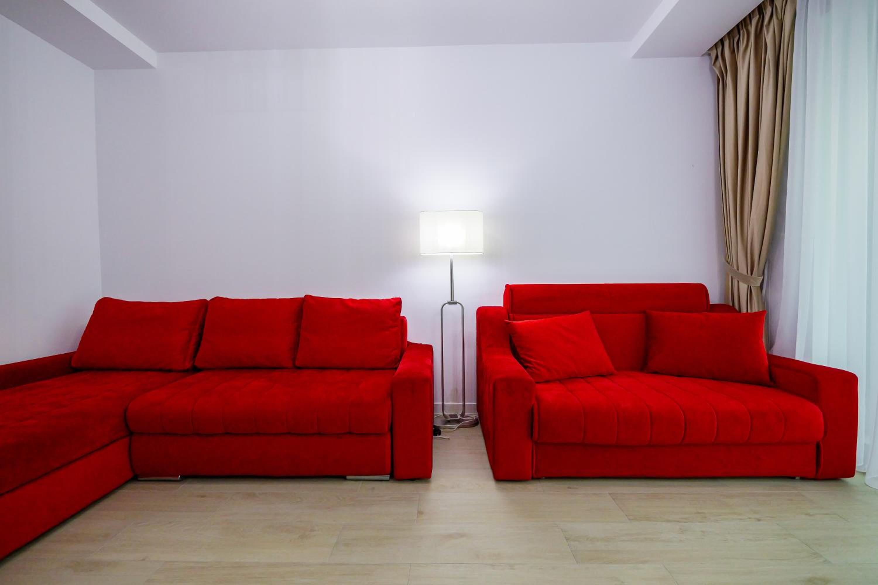 One-Bedroom Apartment photo 3