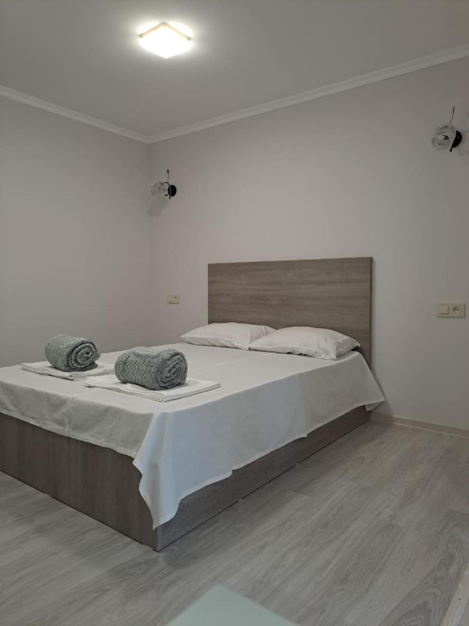 4-Bed Mixed Dormitory Room photo 1
