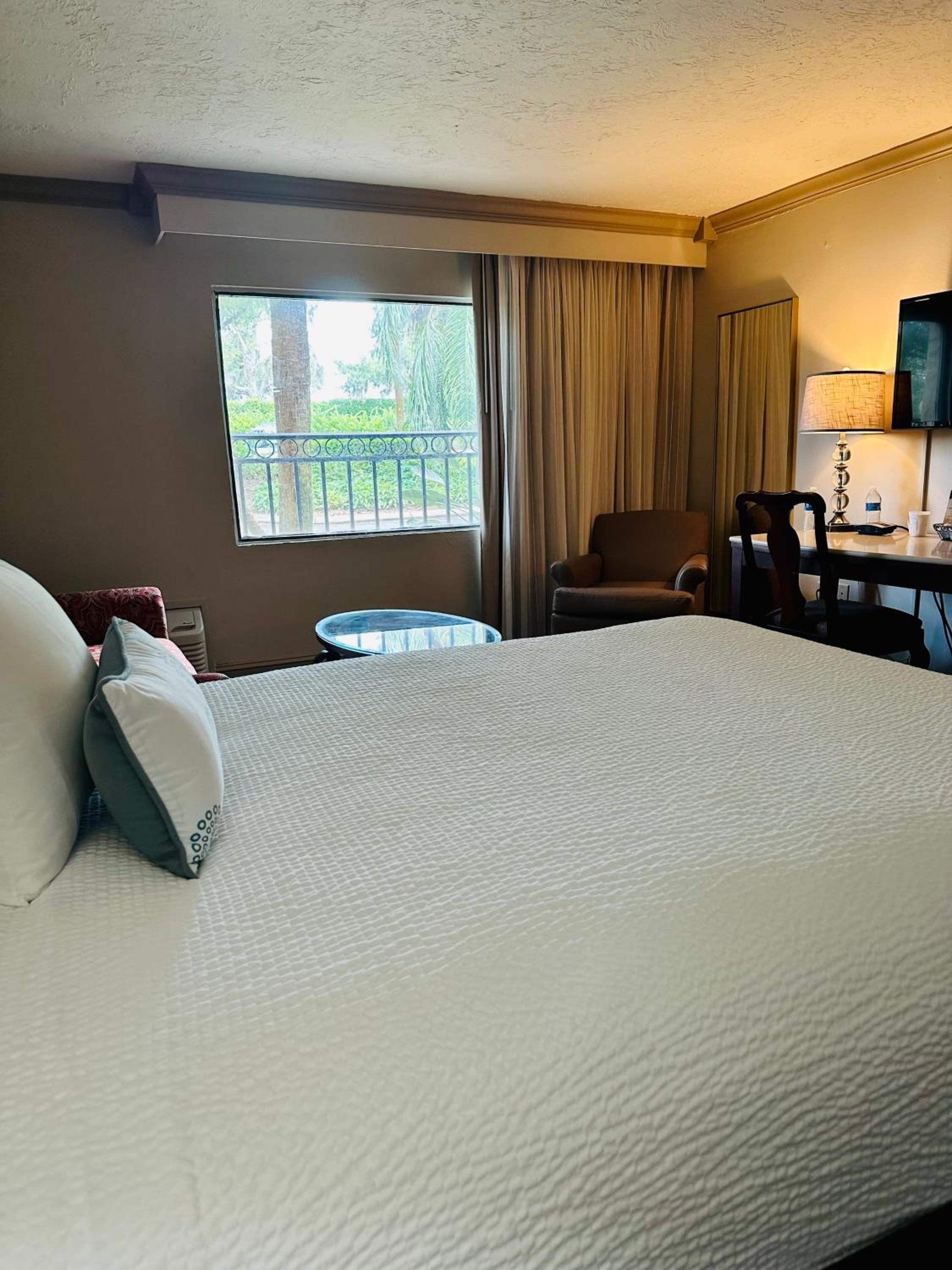 Superior Double Room - Photo 4