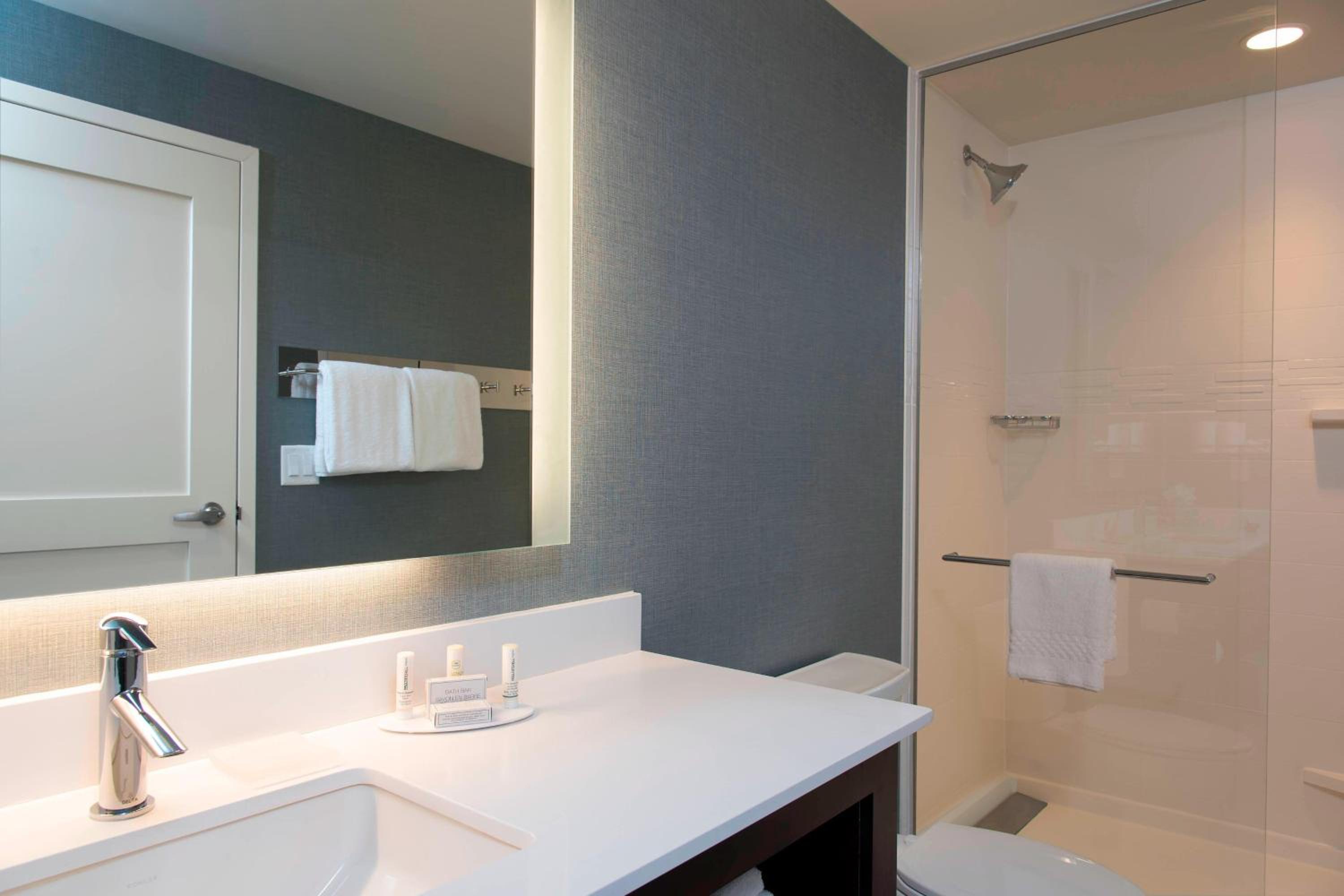 King Studio with Sofa Bed and Roll-in Shower - Mobility and Hearing Accessible
