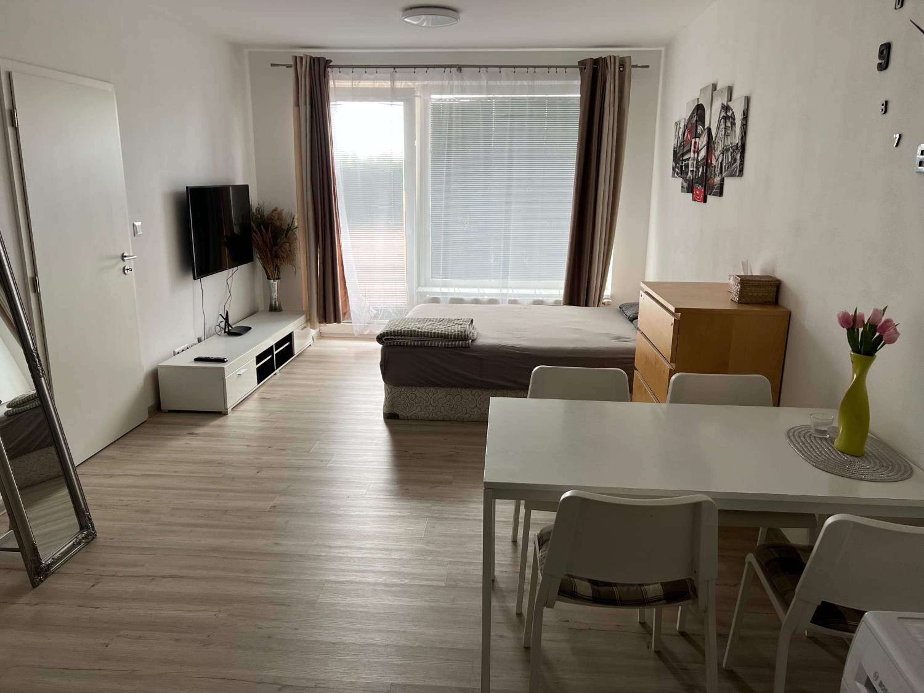 One-Bedroom Apartment photo 1