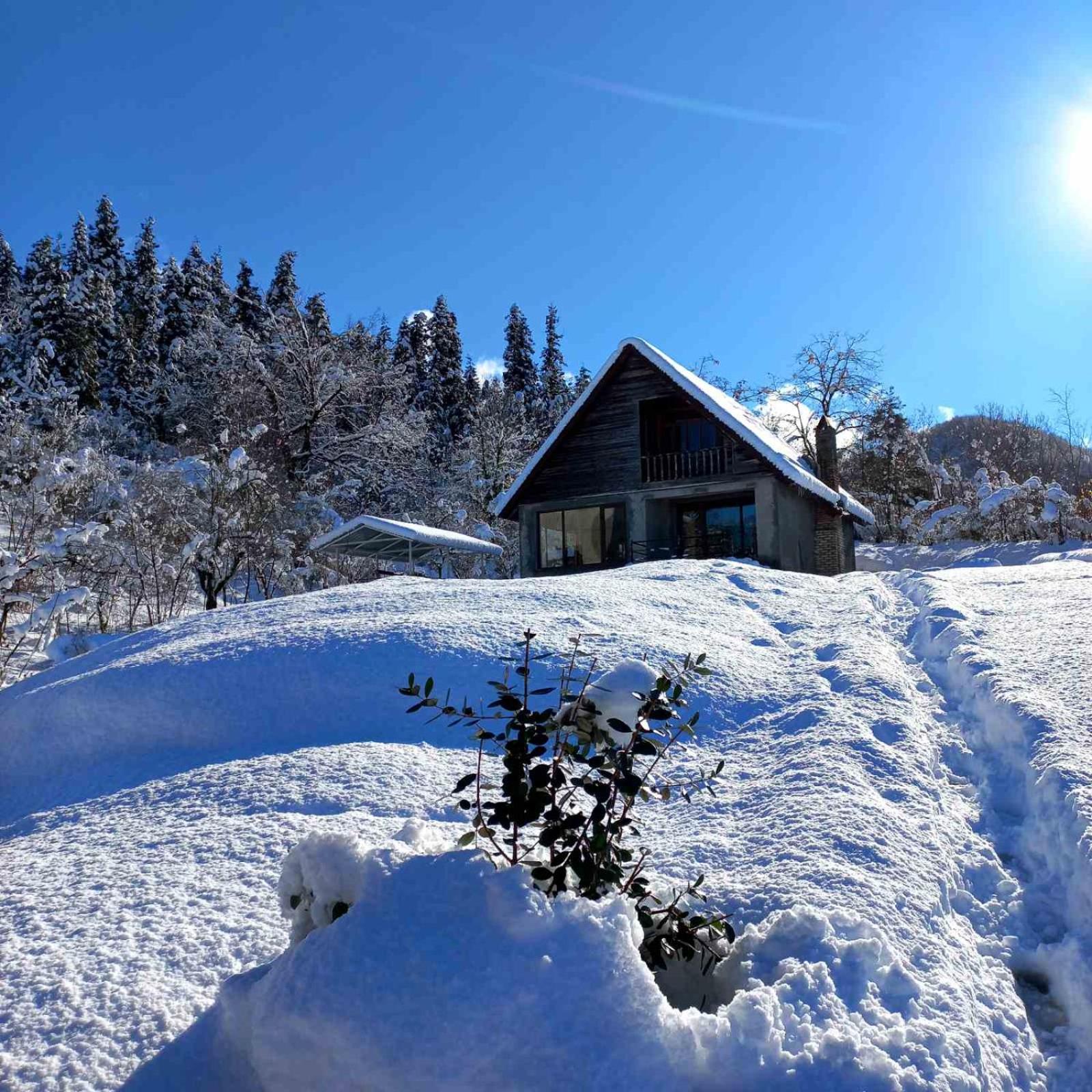 Two-Bedroom Chalet photo 3