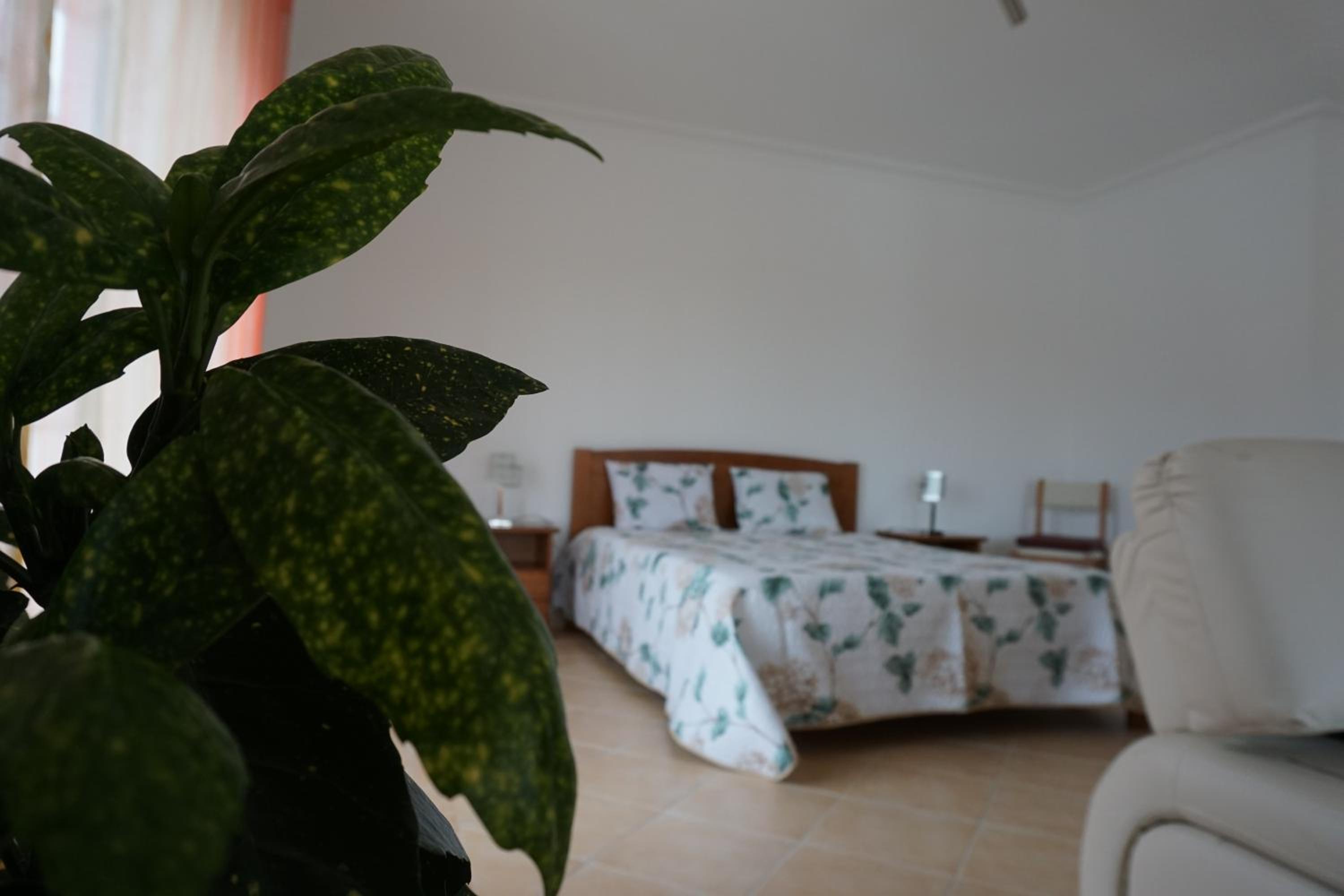 Large Double Room - Photo 14