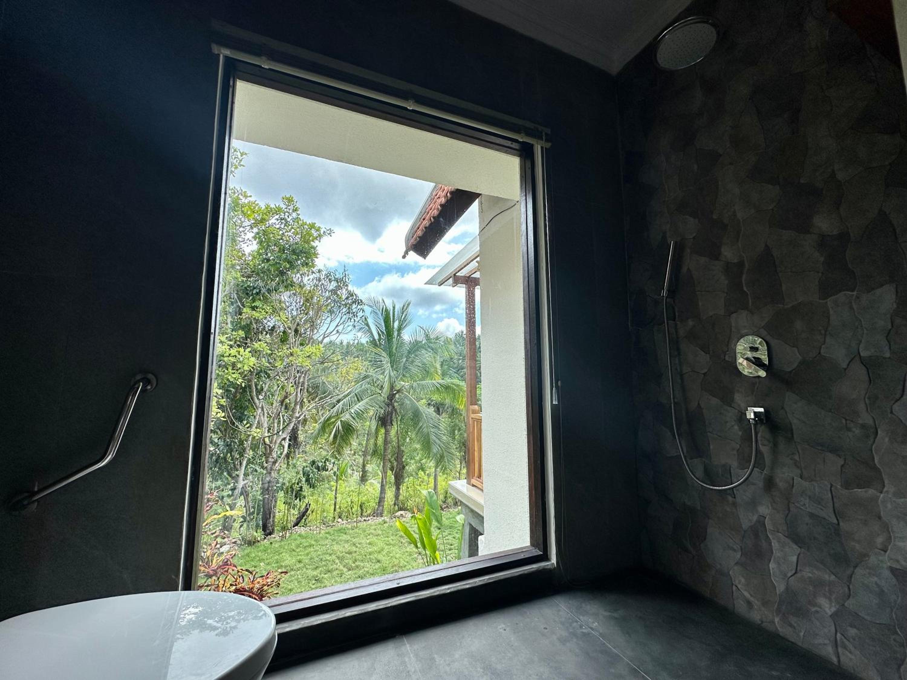Suite with Jungle View - Photo 14
