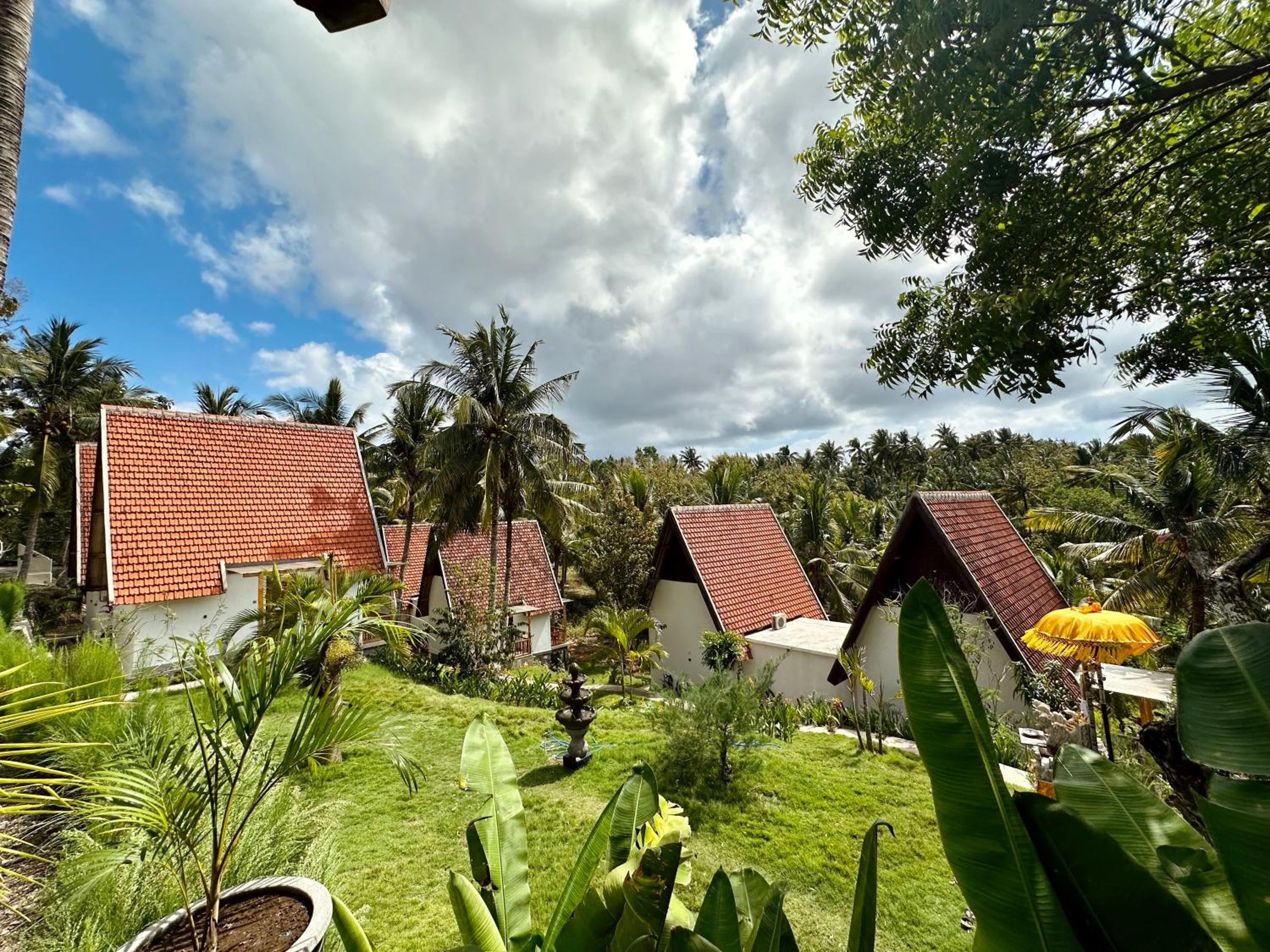 Suite with Jungle View - Photo 13