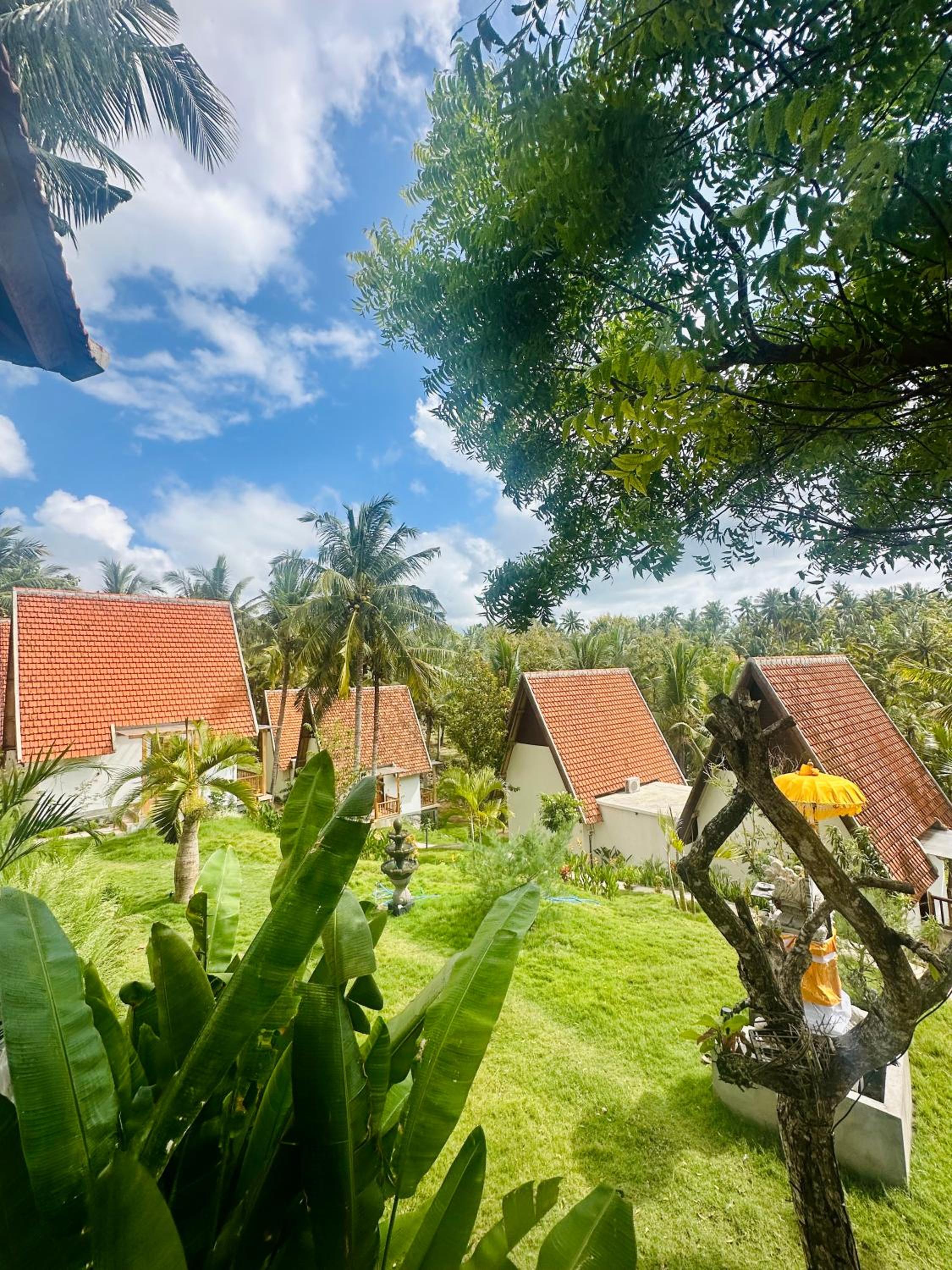 Suite with Jungle View - Photo 8