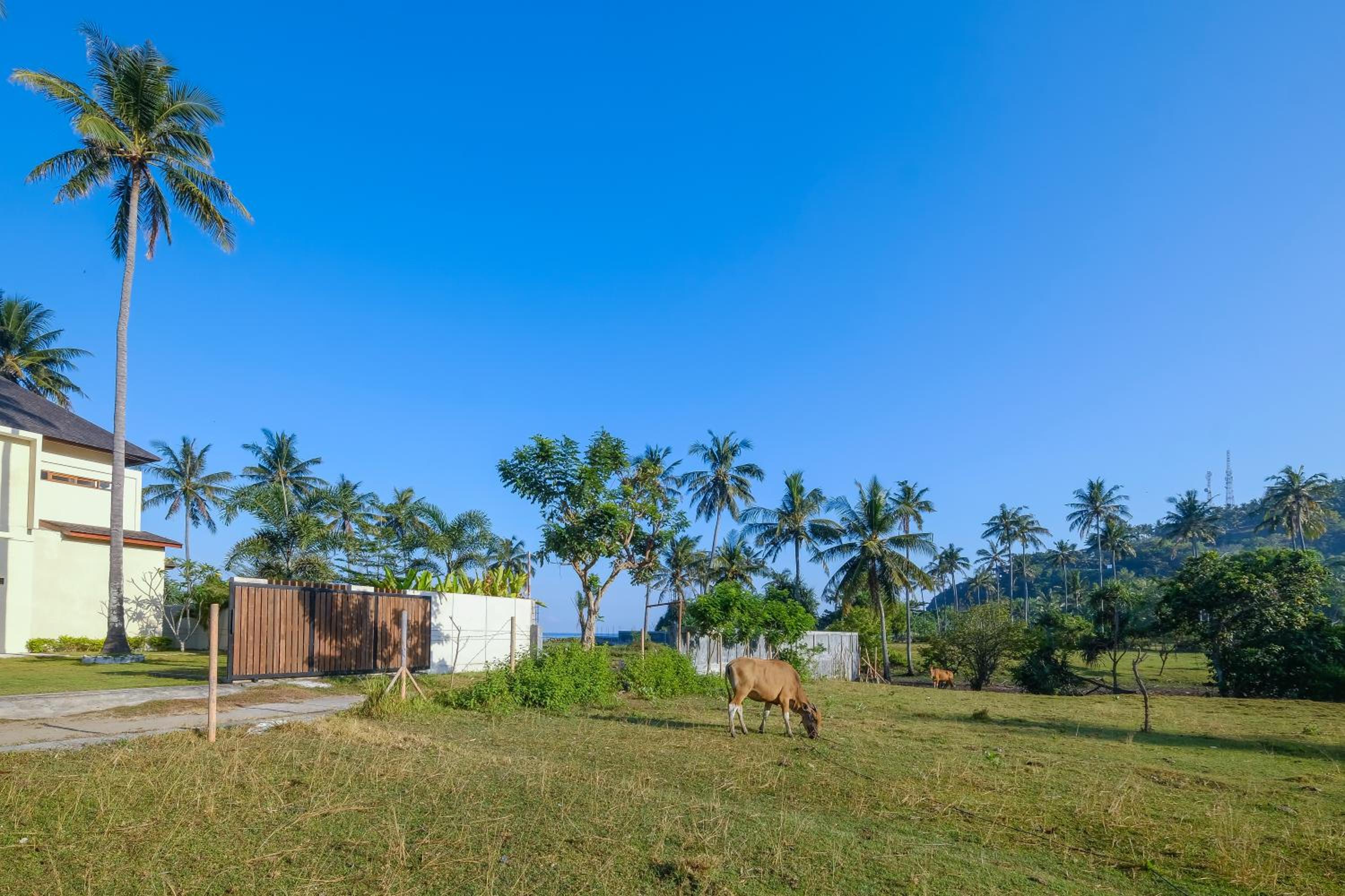 Four-Bedroom Villa with Private Pool  photo 3