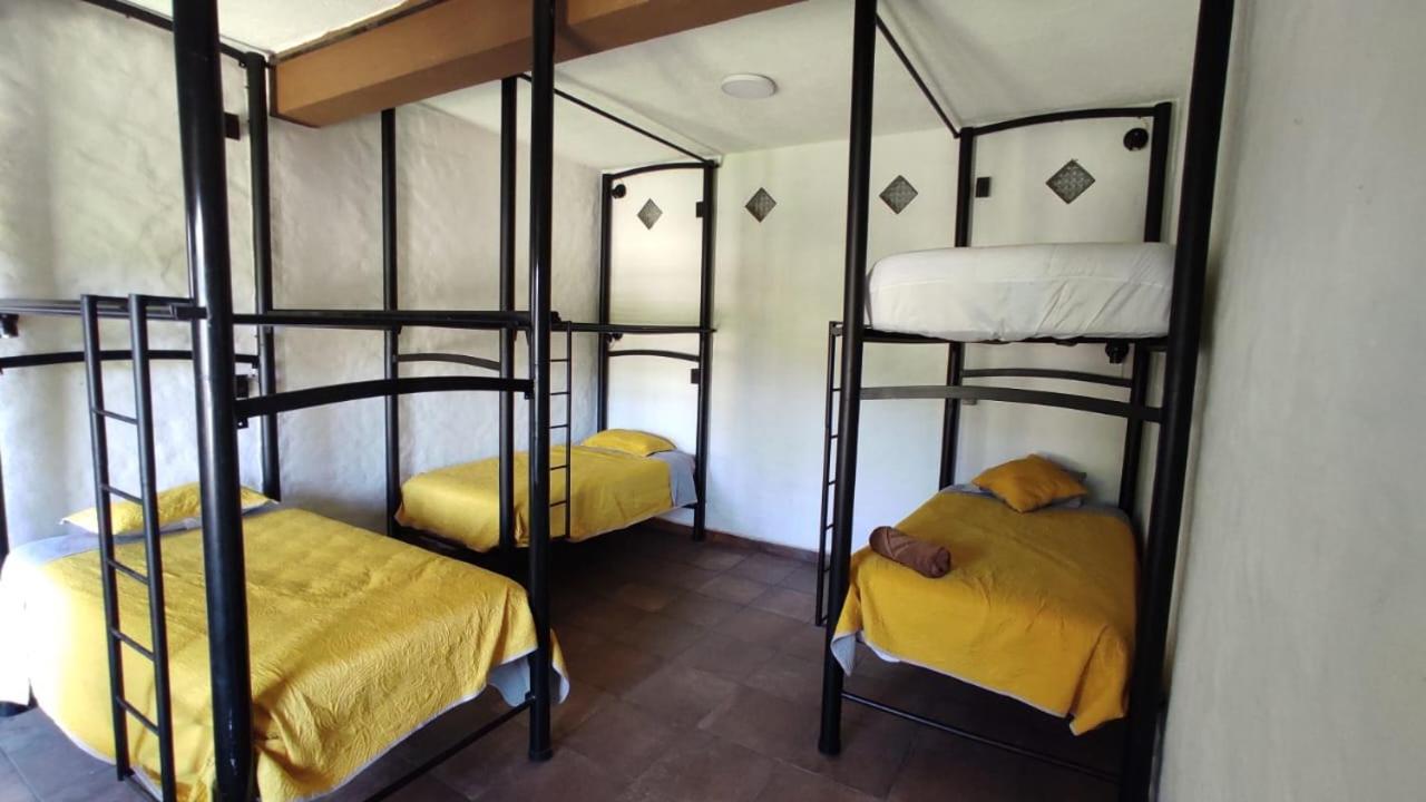 6-Bed Female Dormitory Room photo 1