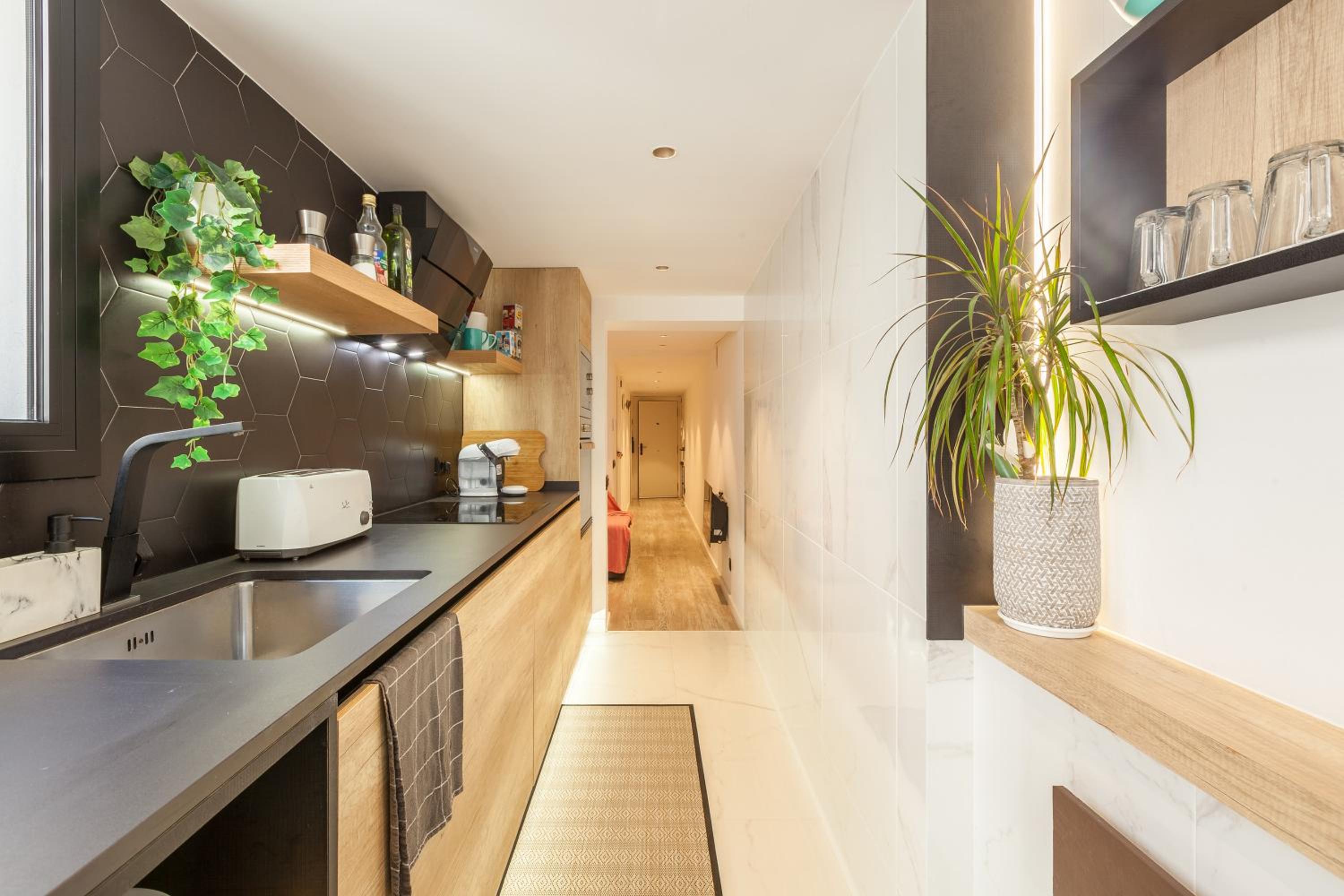 Apartment with Terrace photo 2