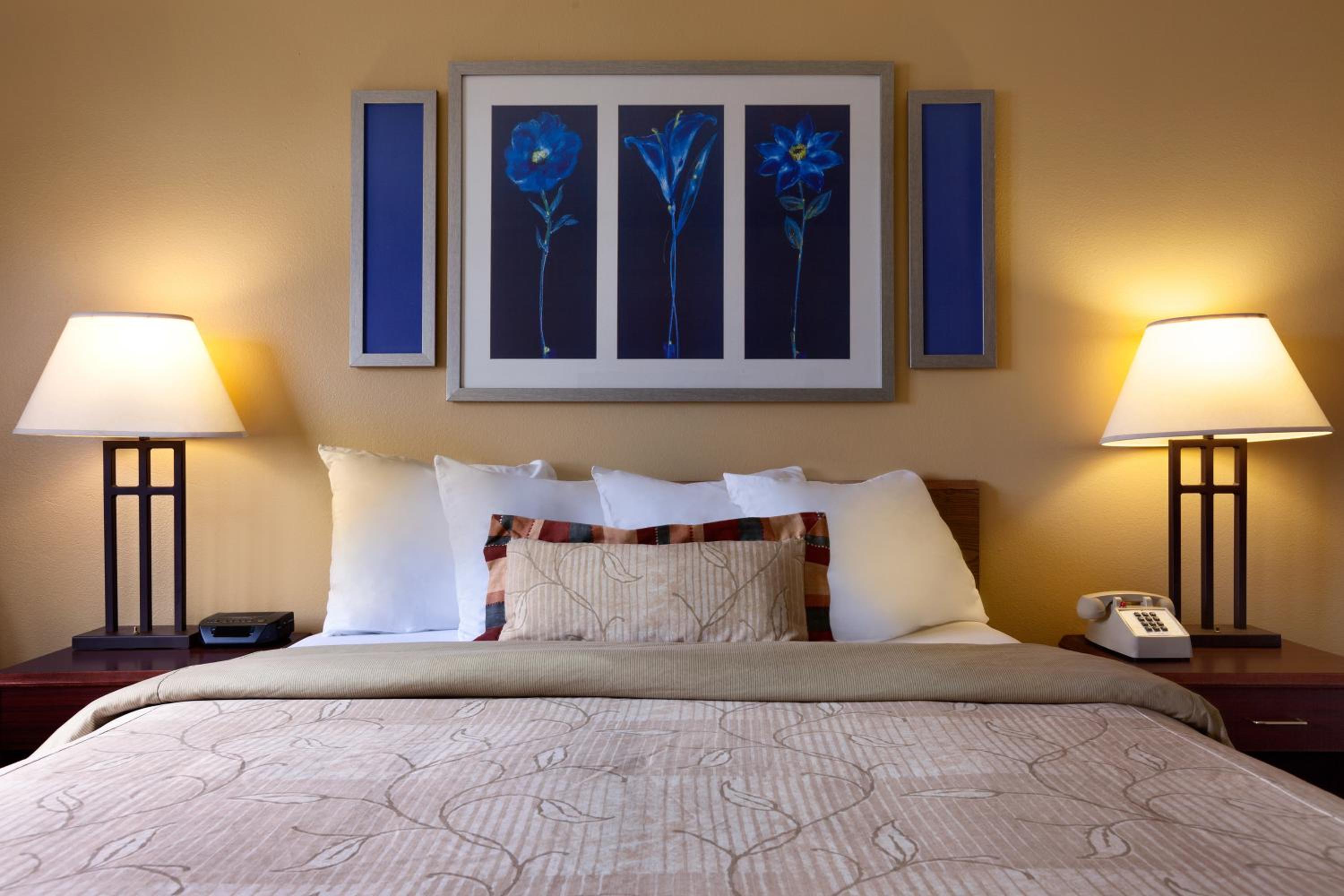 Double Room - Disability Access
