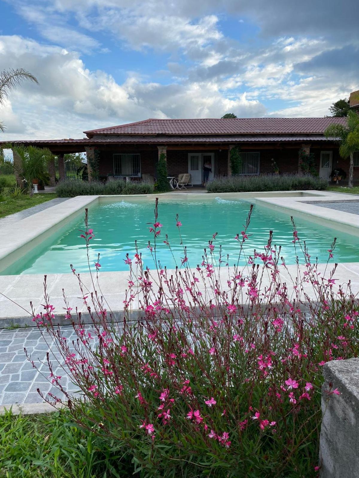 One-Bedroom Villa photo 1