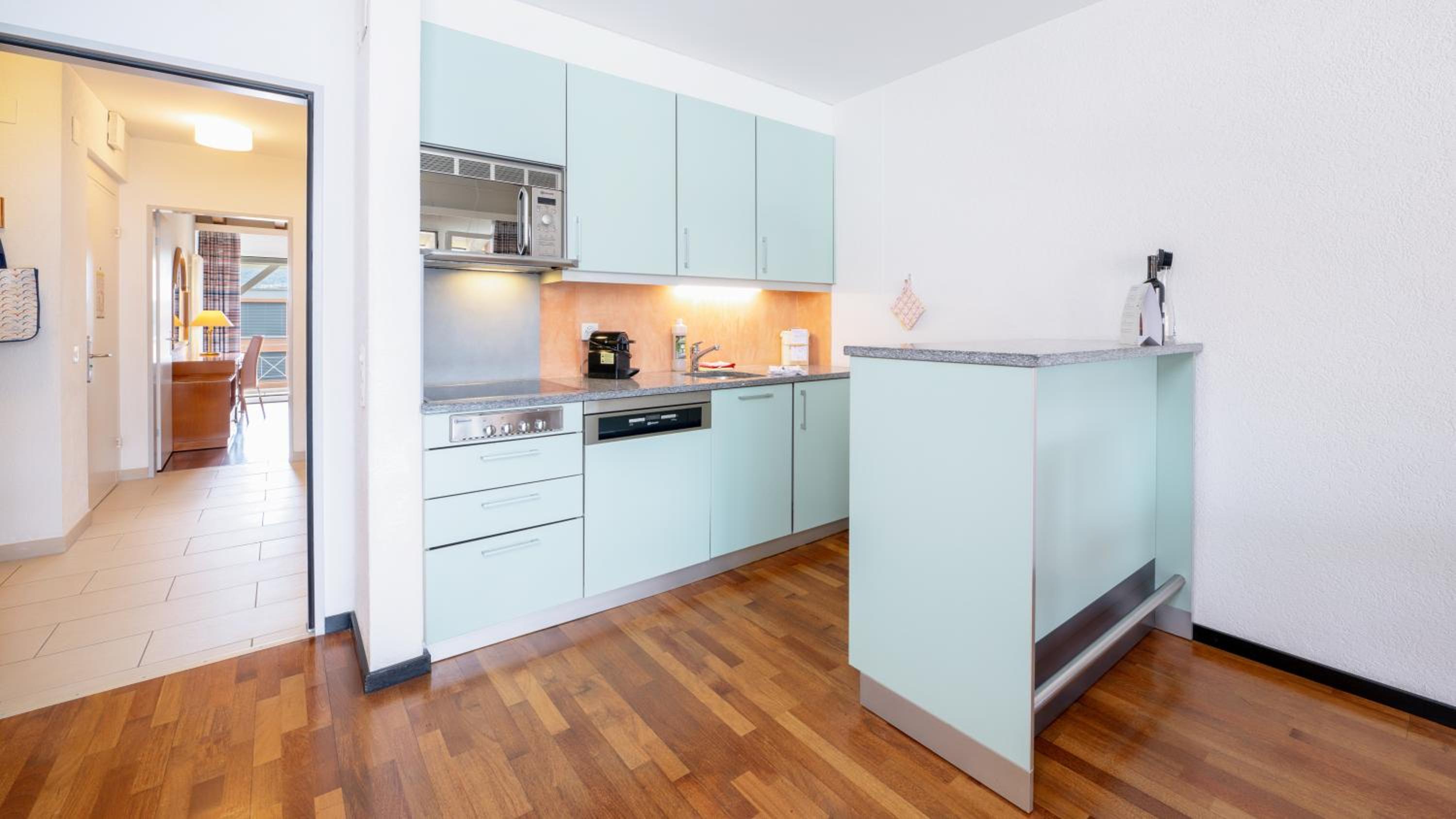 One-Bedroom Comfort Apartment	 - Photo 11