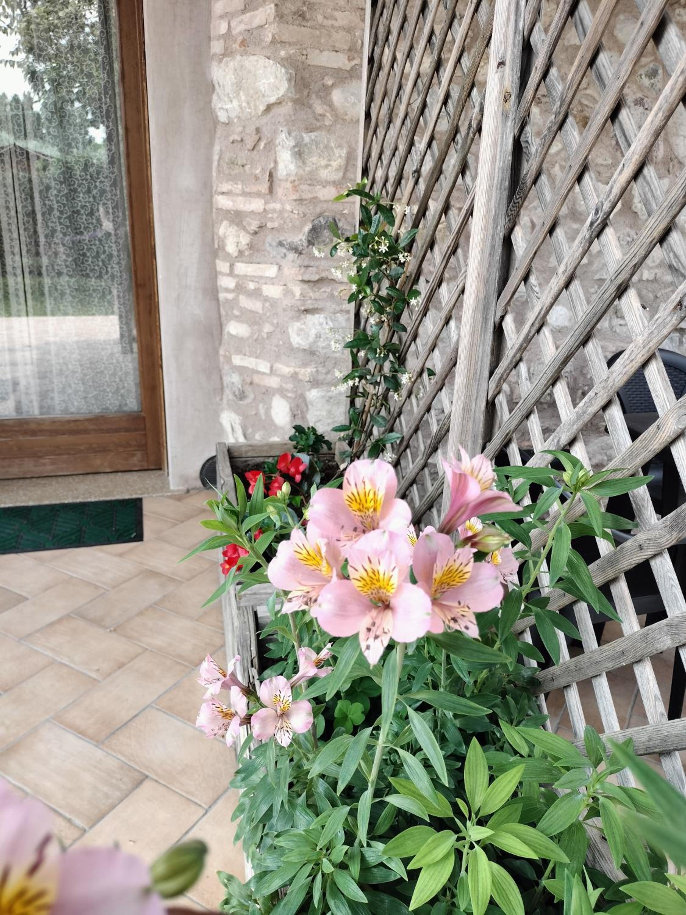 Double Room with Terrace - Photo 9