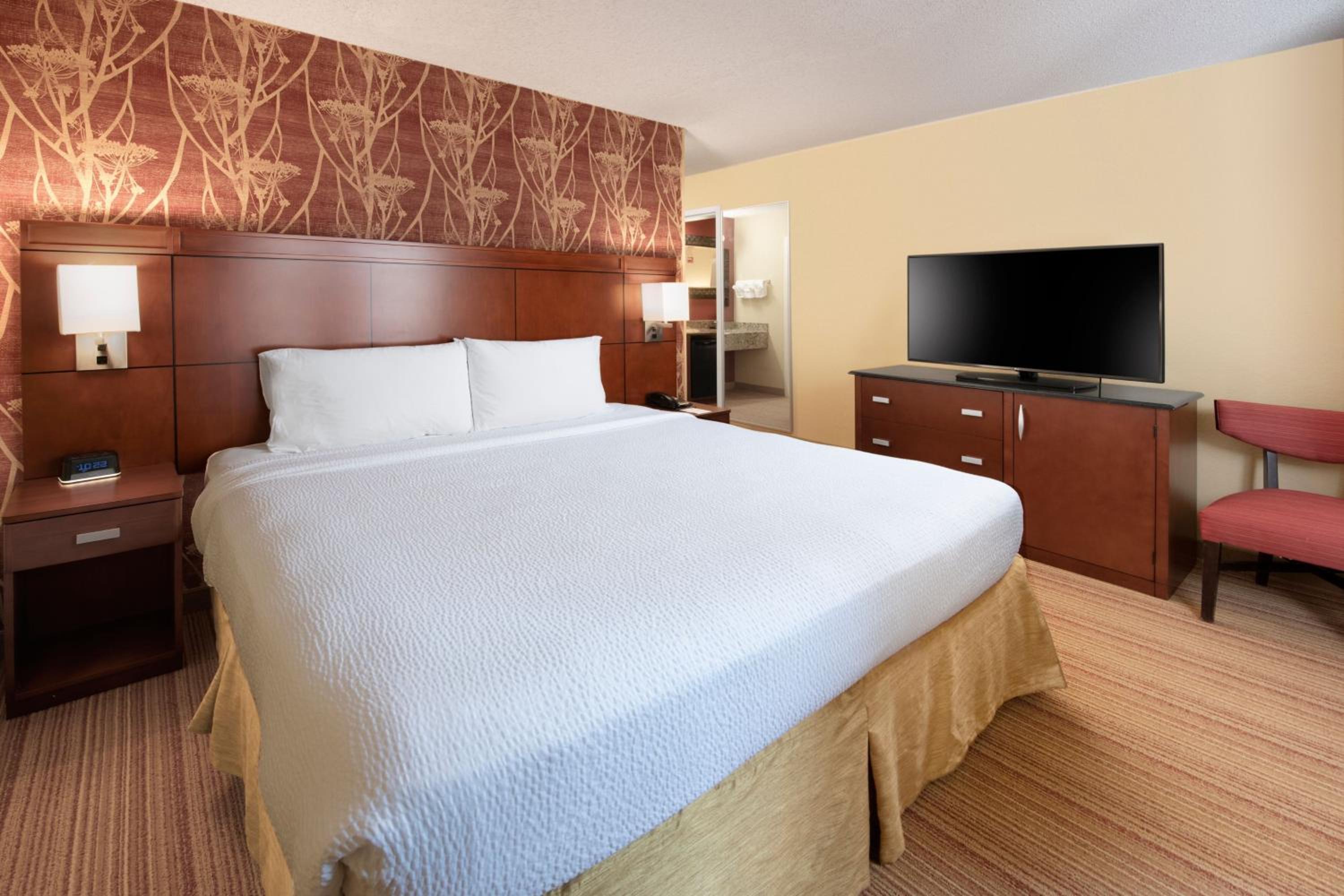 One-Bedroom King Suite with Sofa Bed - Photo 2