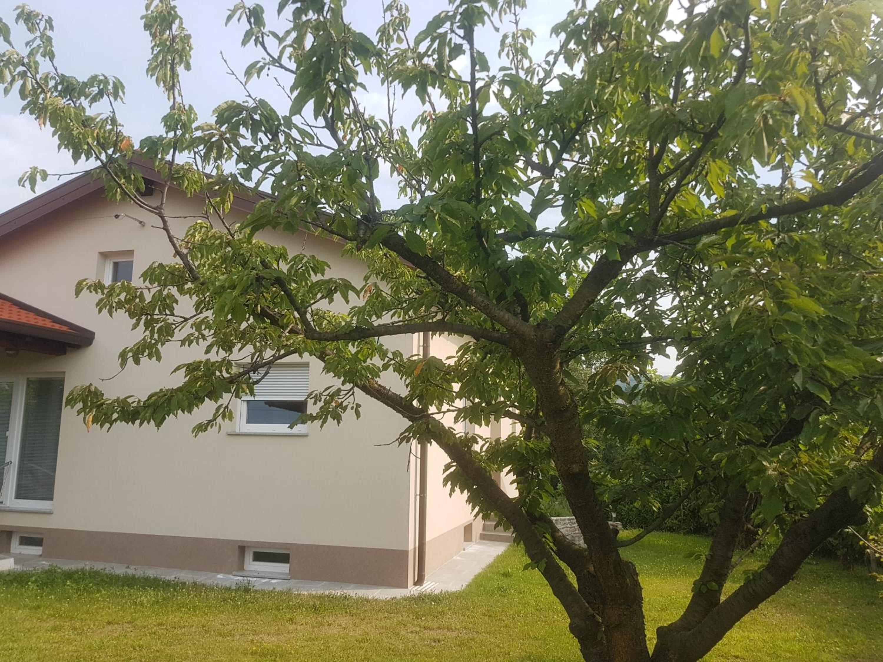 Three-Bedroom House photo 1