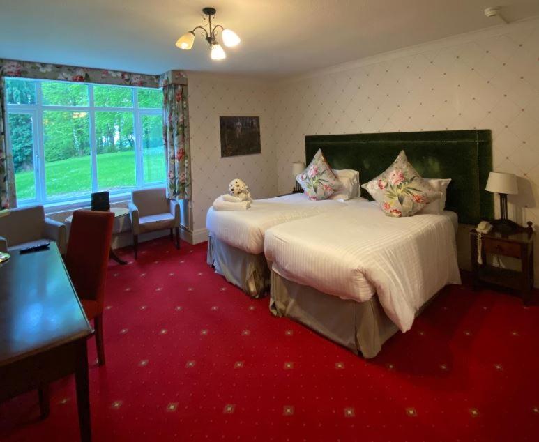 Twin Room - Photo 4