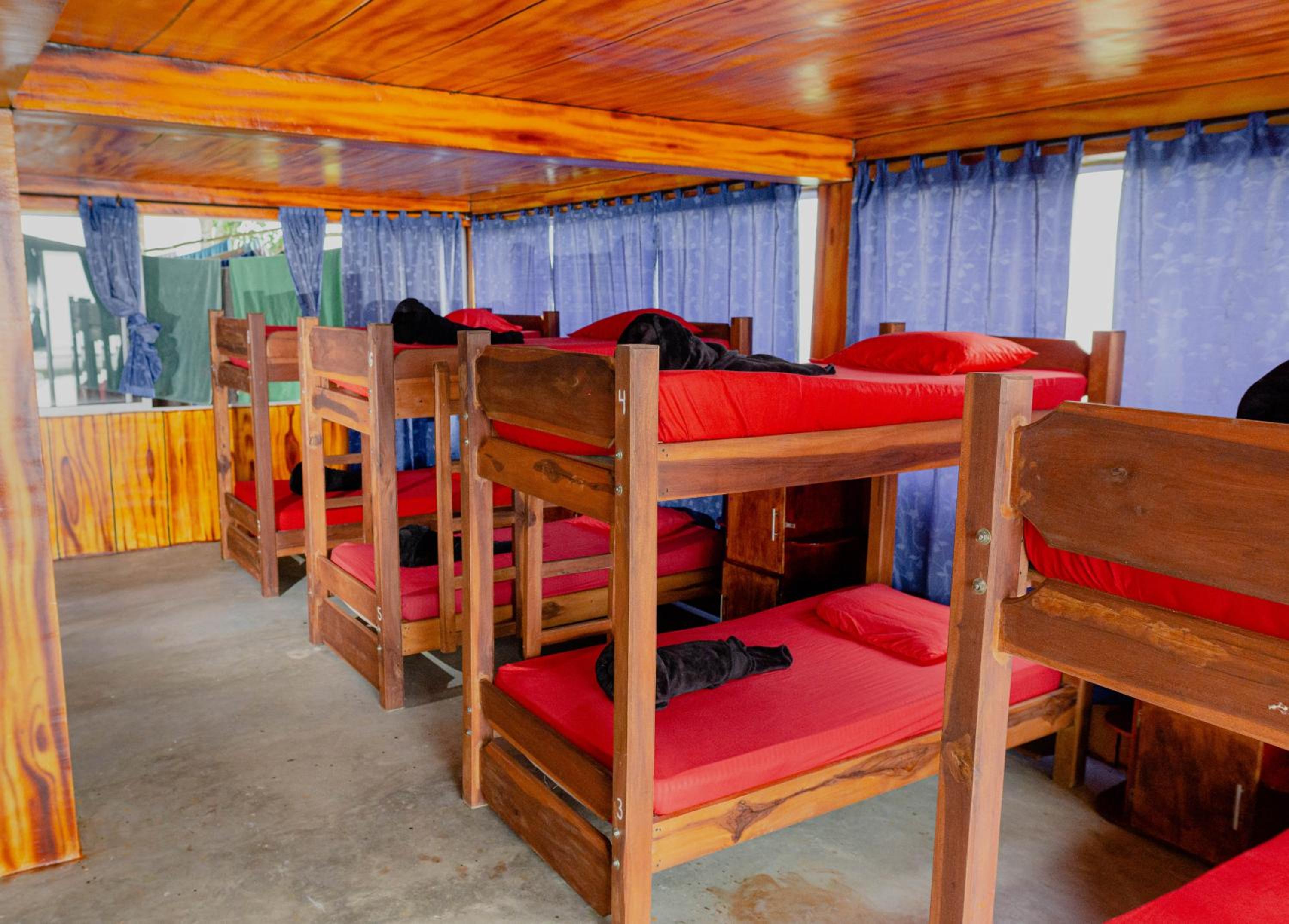Bunk Bed in Mixed Dormitory Room for 16 people
