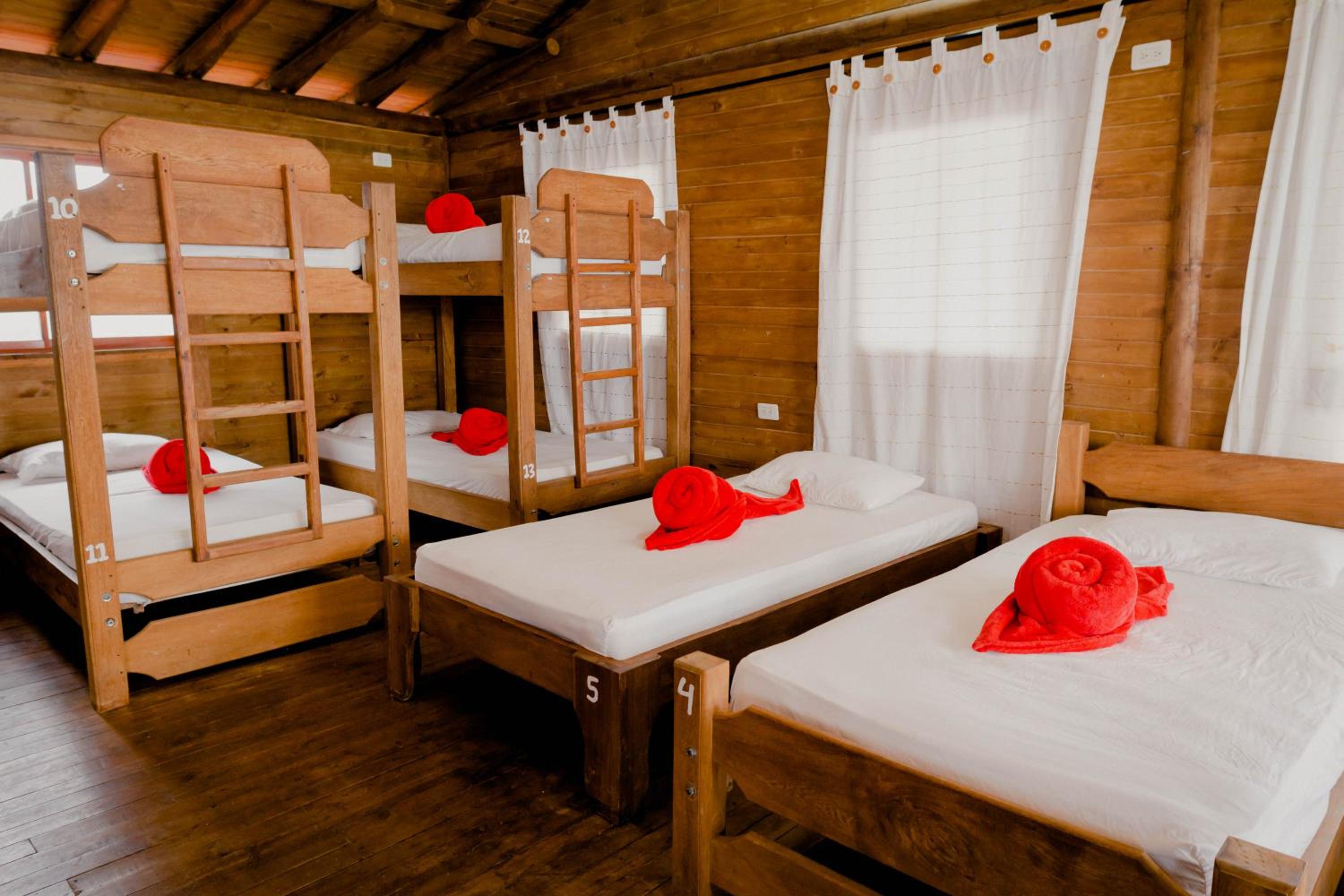 Bunk Bed in Mixed Dormitory Room